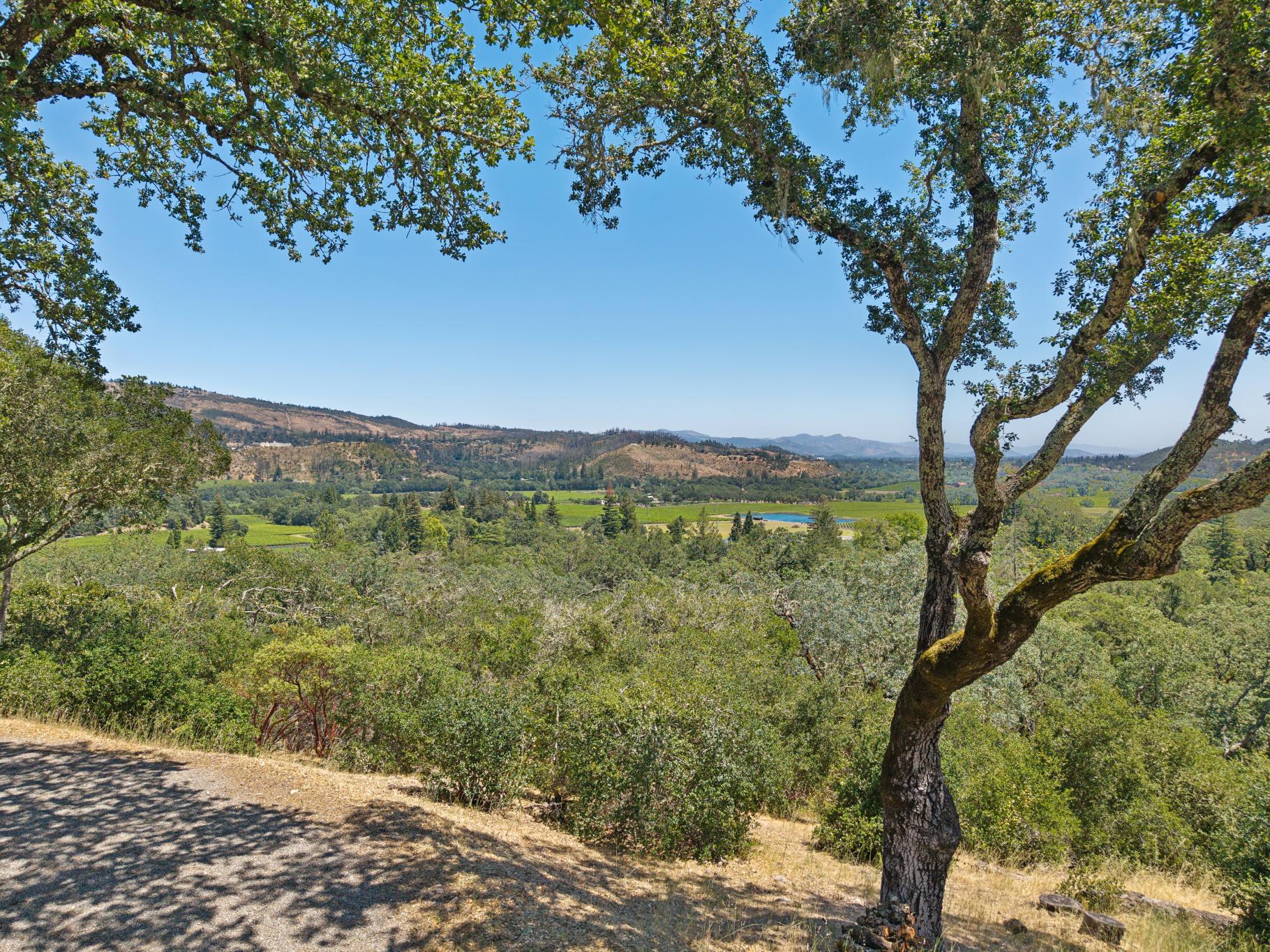  3393 St. Helena Hwy N. - 物件實景