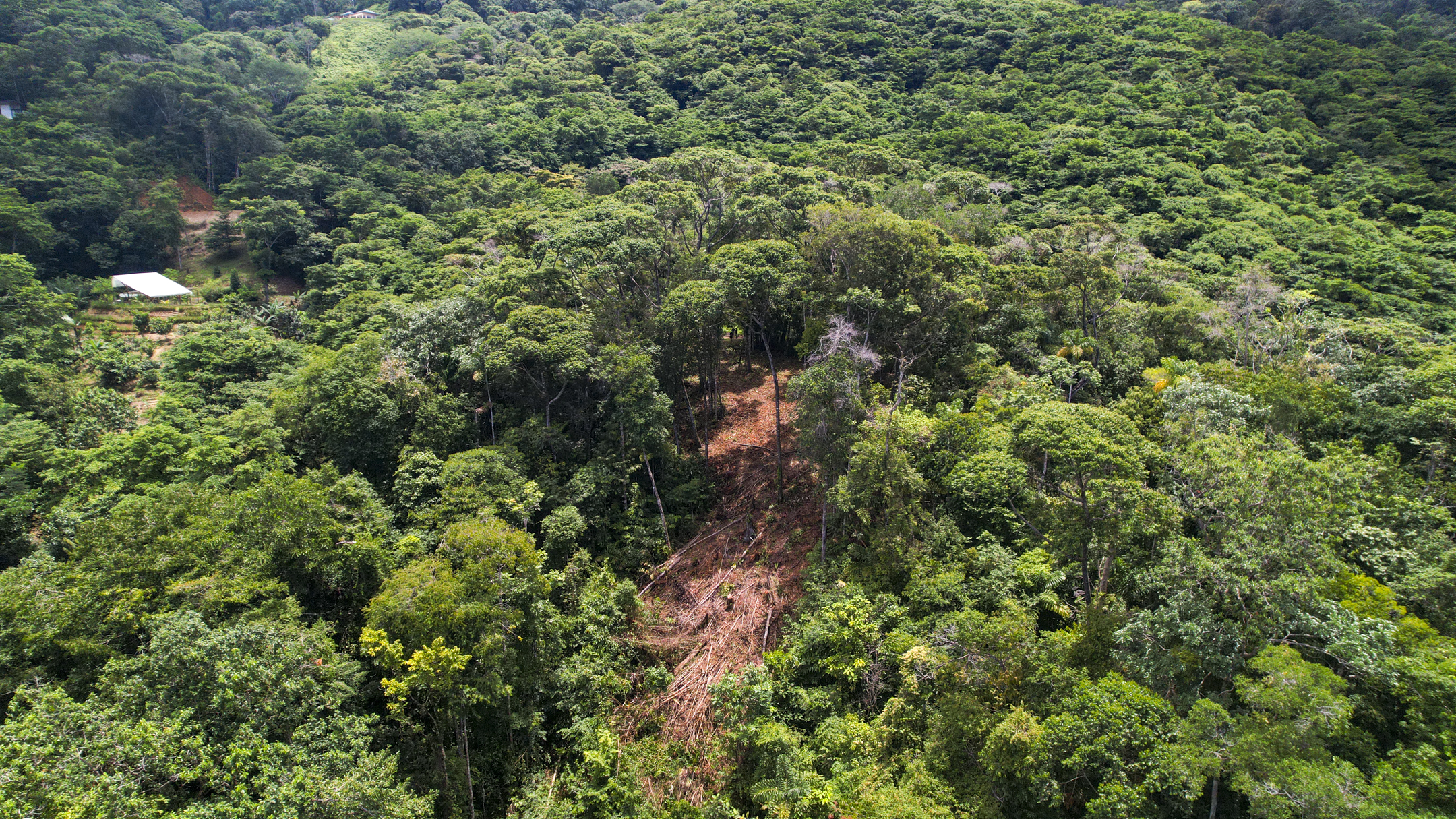 Costa Verde Estates Lot 81 & 84, Islas Road, Dominical, Puntarenas, CR, ,Land,For Sale,Costa Verde Estates Lot 81 & 84, Islas Road,1611884