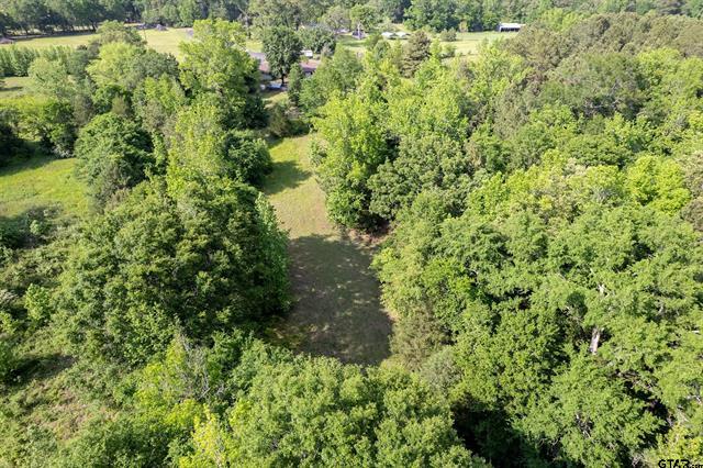 Big Sandy, Texas, 75755, United States, 3 Bedrooms Bedrooms, ,3 BathroomsBathrooms,Residential,For Sale,1873121