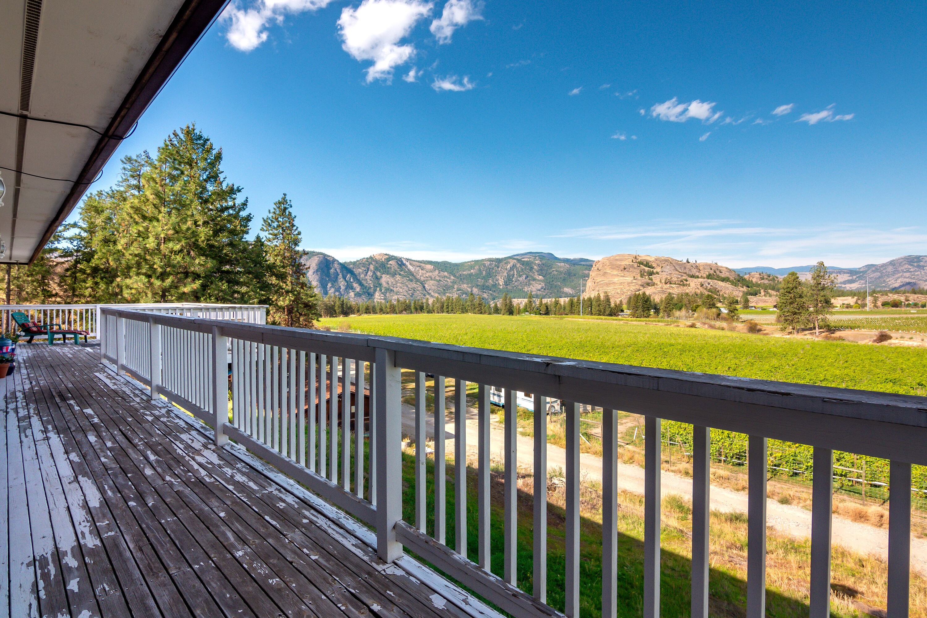  Vineyard in Okanagan Falls - 物件實景