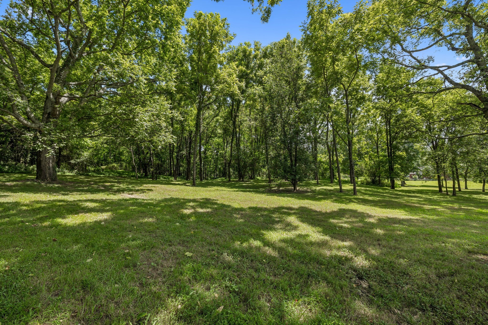  670 Northridge Rd, Columbia, TN, 38401 - 物件實景