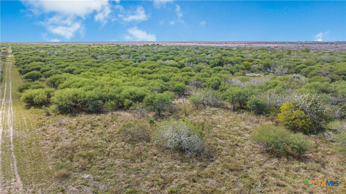Tivoli, Texas, 77990, United States, ,Land,For Sale,1996181