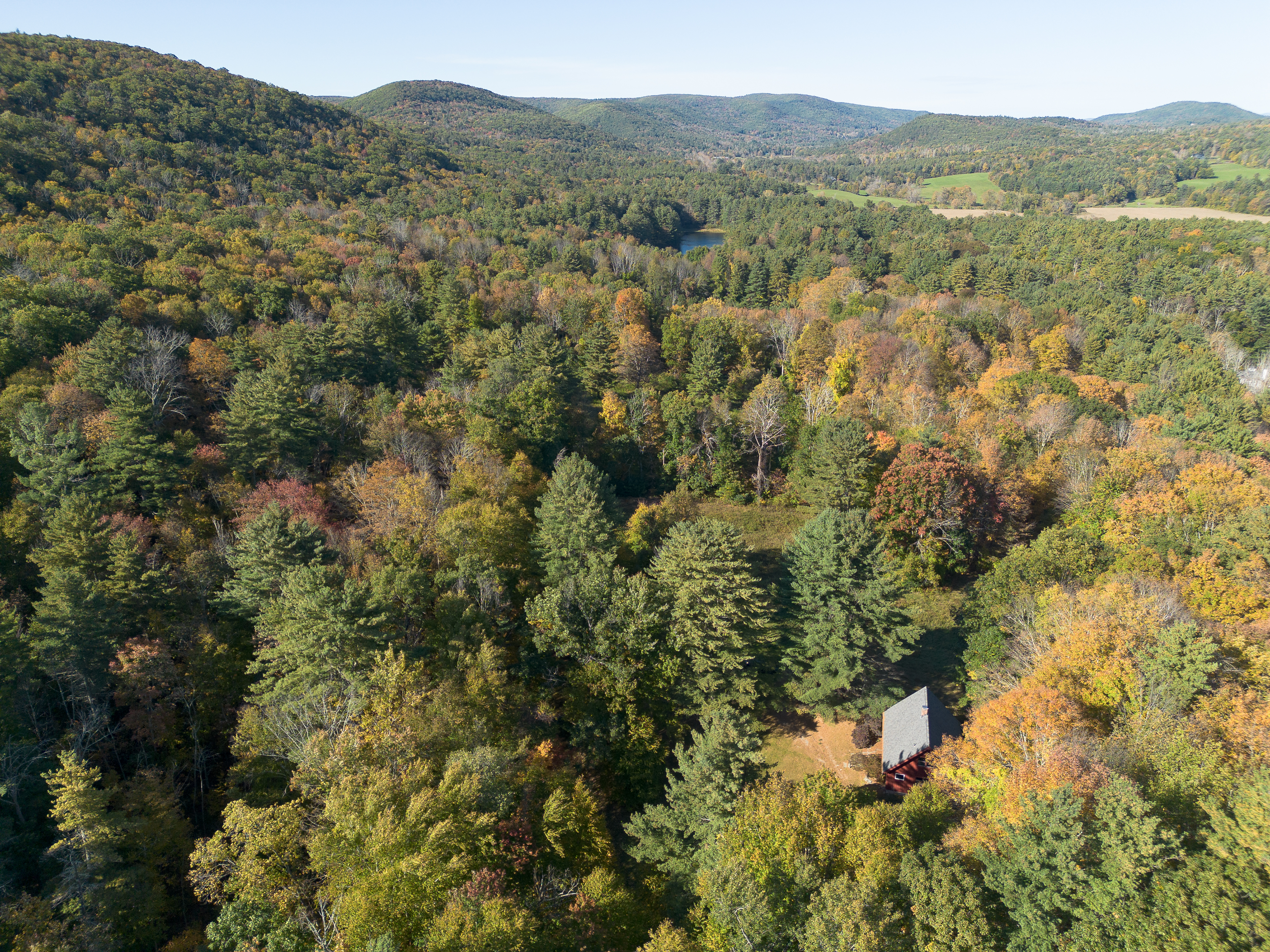  Alford Hideaway on 10 Acres - 物件實景