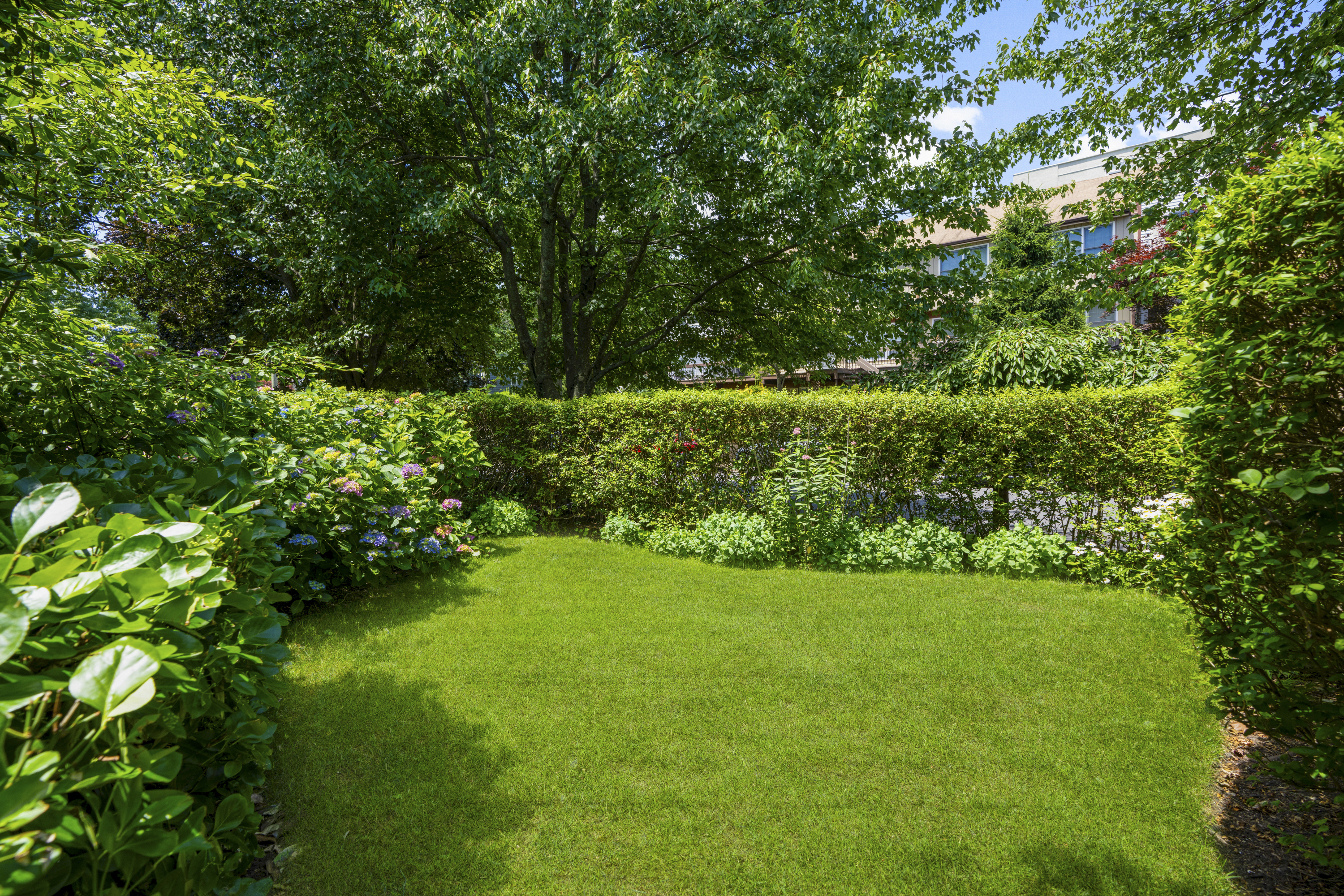  Lovely Harbor Hill Condo - 物件實景