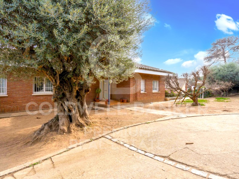 Cerdanyola del Vallès, Catalonia, ES, 4 Bedrooms Bedrooms, ,3 BathroomsBathrooms,Residential,For Sale,1622423