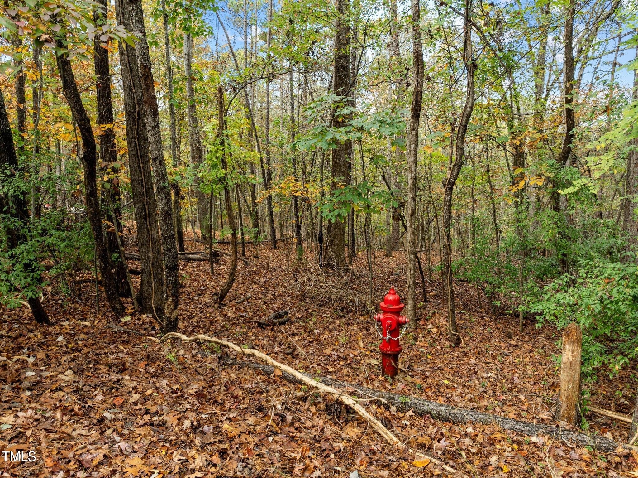 Pittsboro, North Carolina, 27312, United States, 3 Bedrooms Bedrooms, ,2 BathroomsBathrooms,Residential,For Sale,1979721