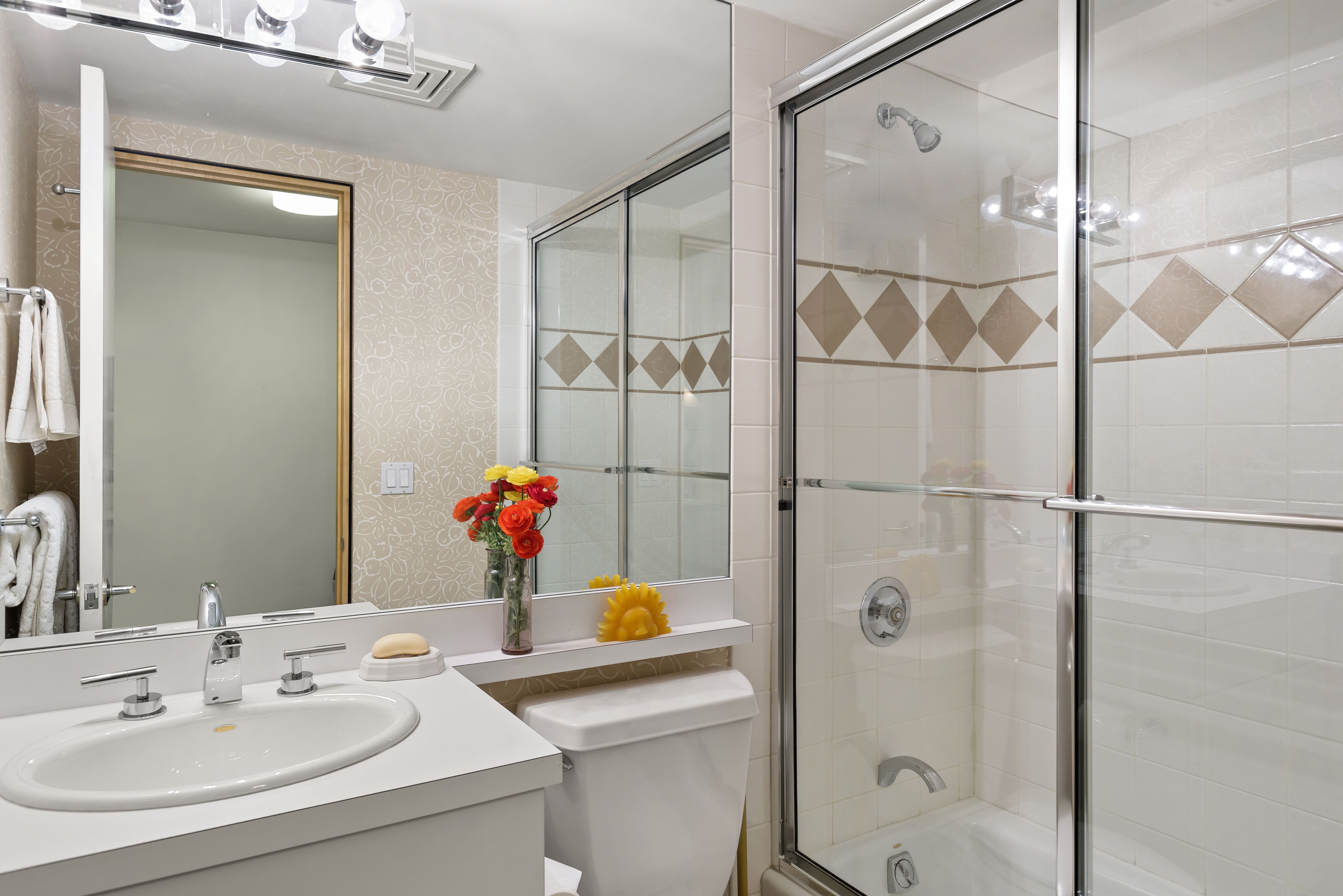  530 West Francis Street, Aspen, CO 81611 - 物件實景