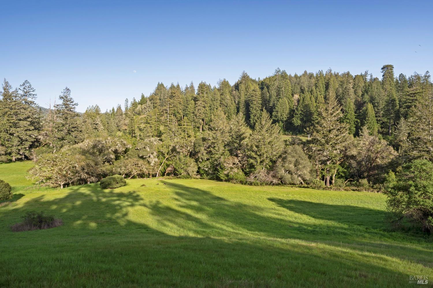 Philo, California, 95466, United States, 40 Bedrooms Bedrooms, ,15 BathroomsBathrooms,Residential,For Sale,1766290