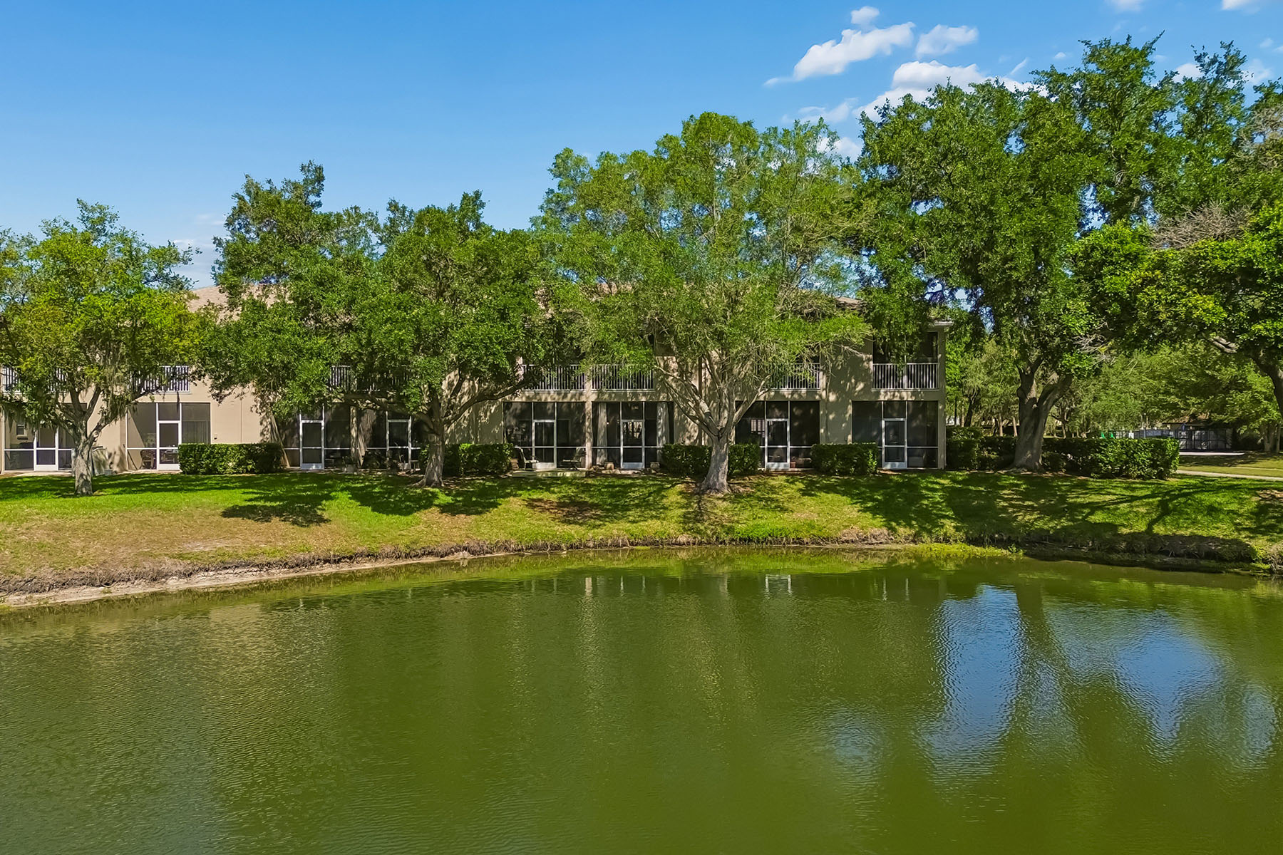  TAMPA - 物件實景