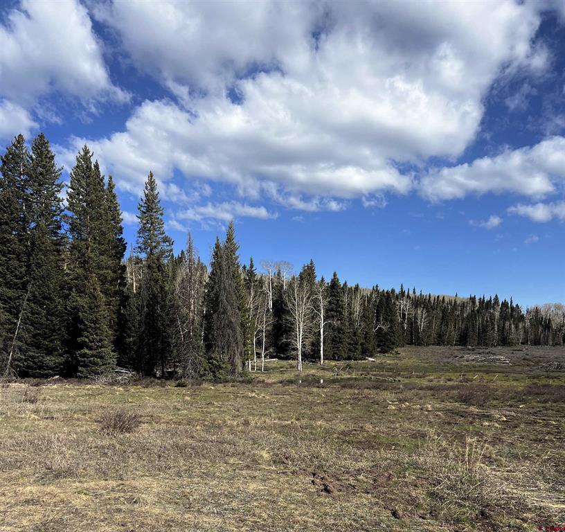 Gunnison, Colorado, 81230, United States, ,Land,For Sale,1981544