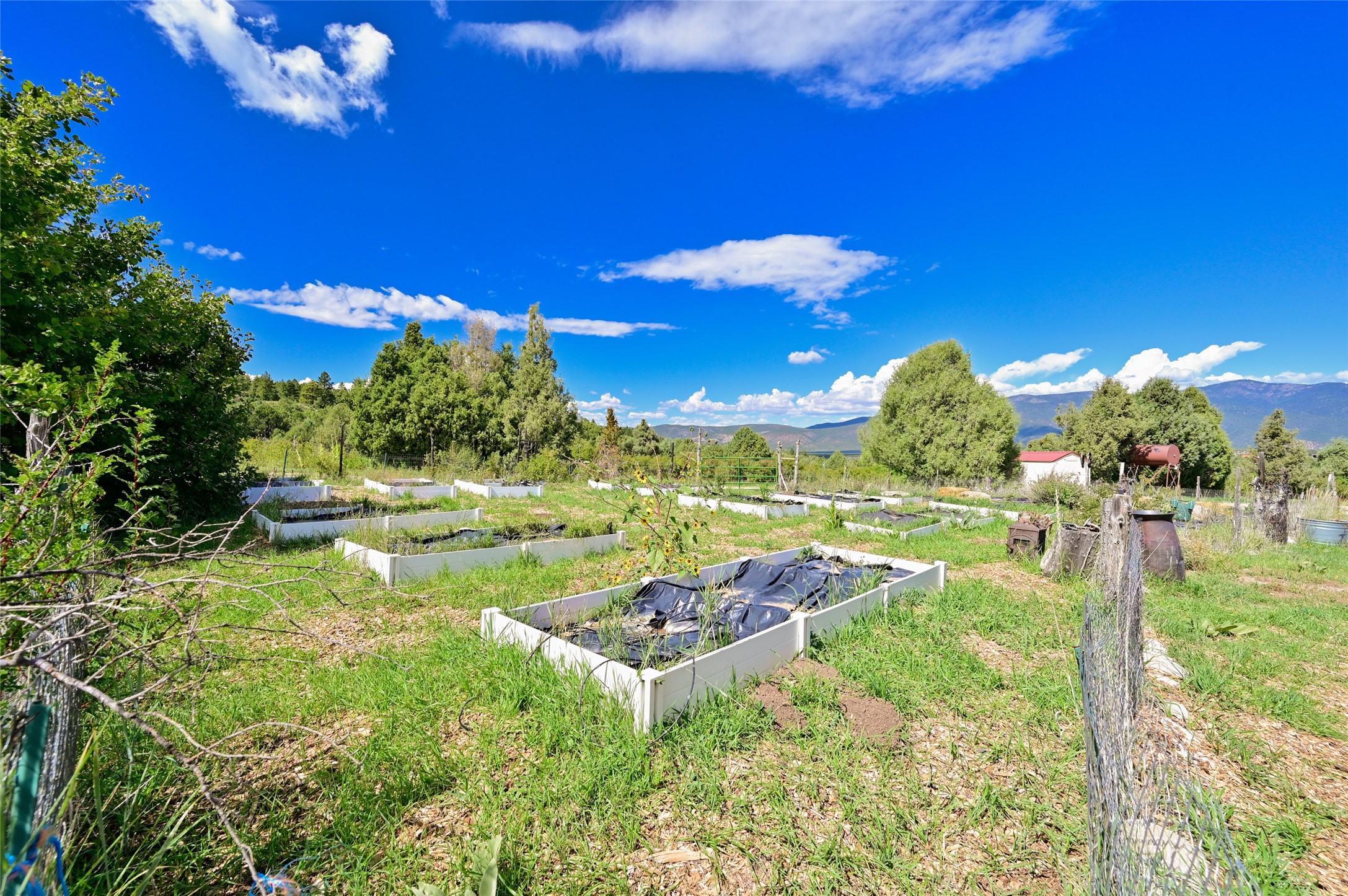  157 Pacheco Road - 物件實景