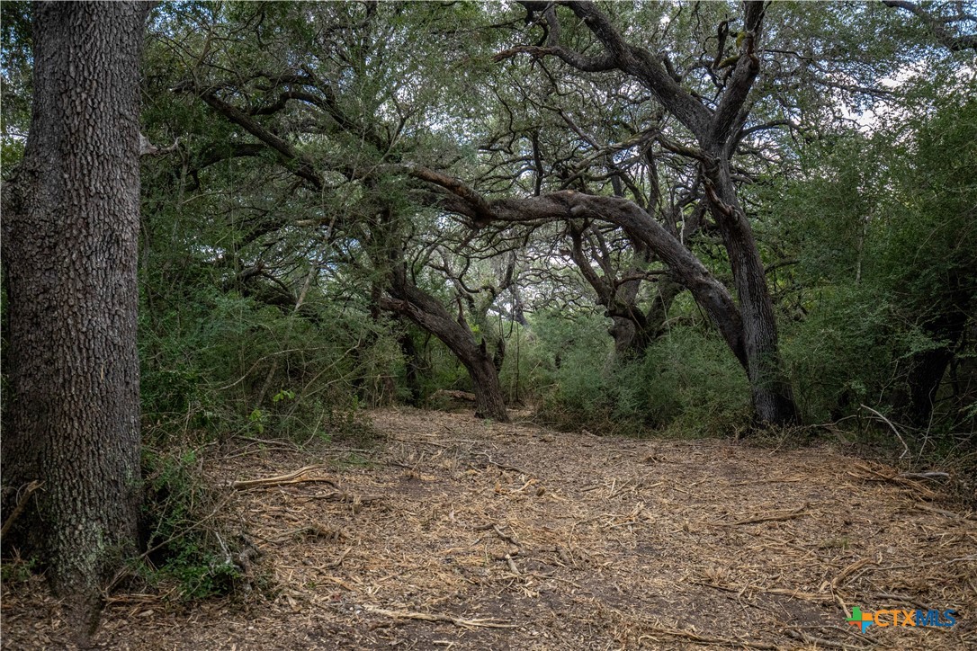 Cuero, Texas, 77954, United States, ,Residential,For Sale,1963995