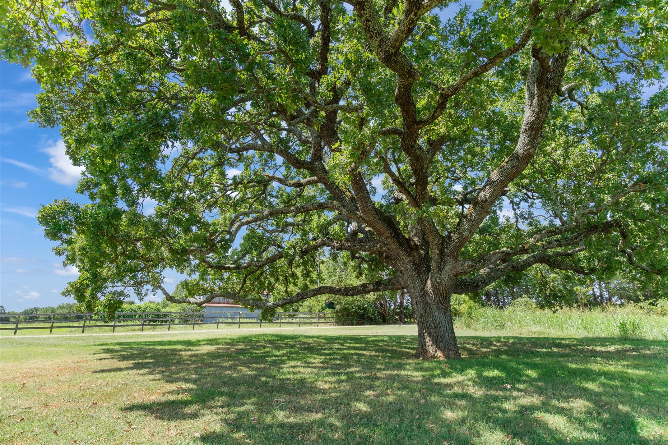 Wills Point, Texas, 75169, United States, 3 Bedrooms Bedrooms, ,3 BathroomsBathrooms,Residential,For Sale,1978262