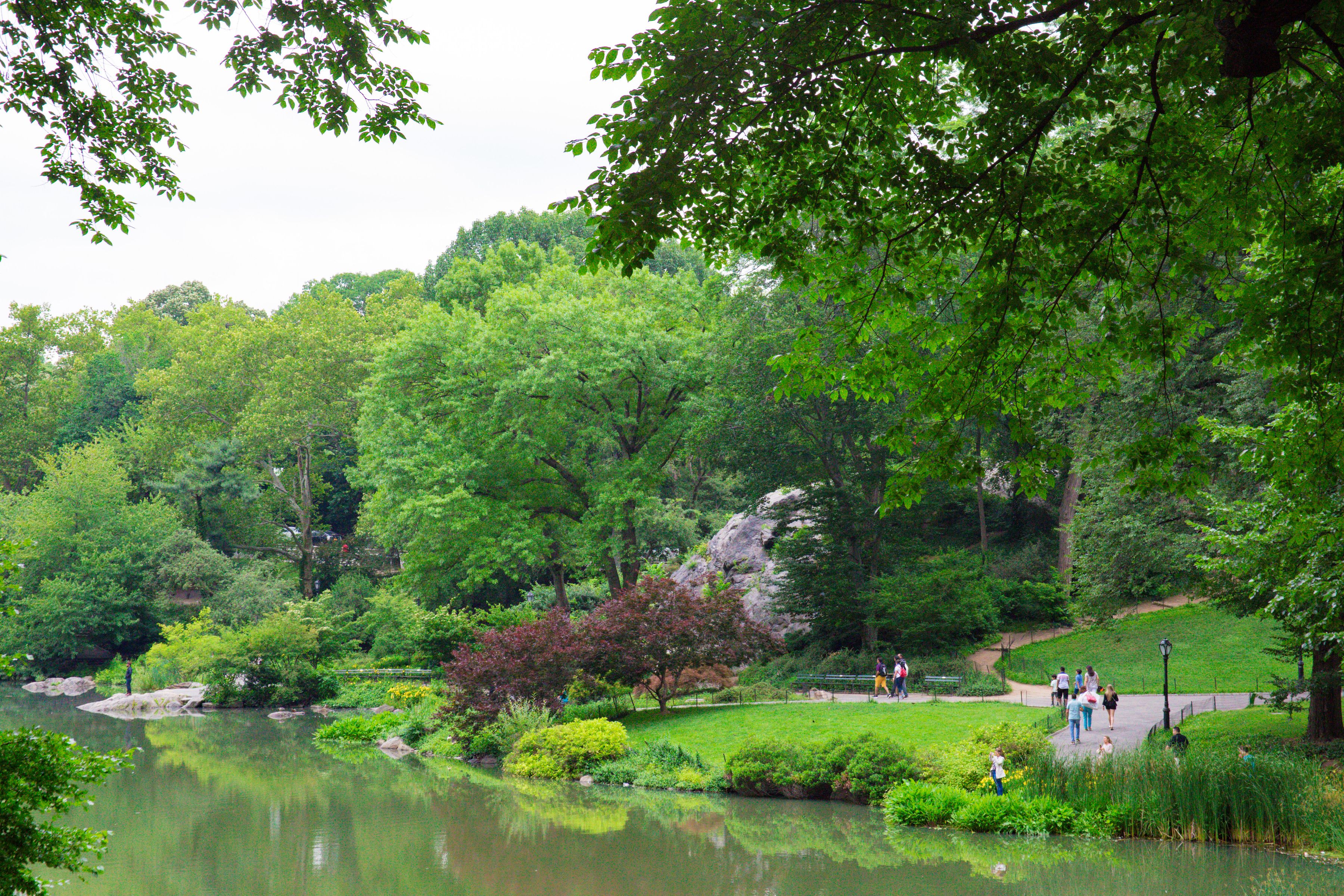  Carnegie Hill Garden Beauty - 物件實景