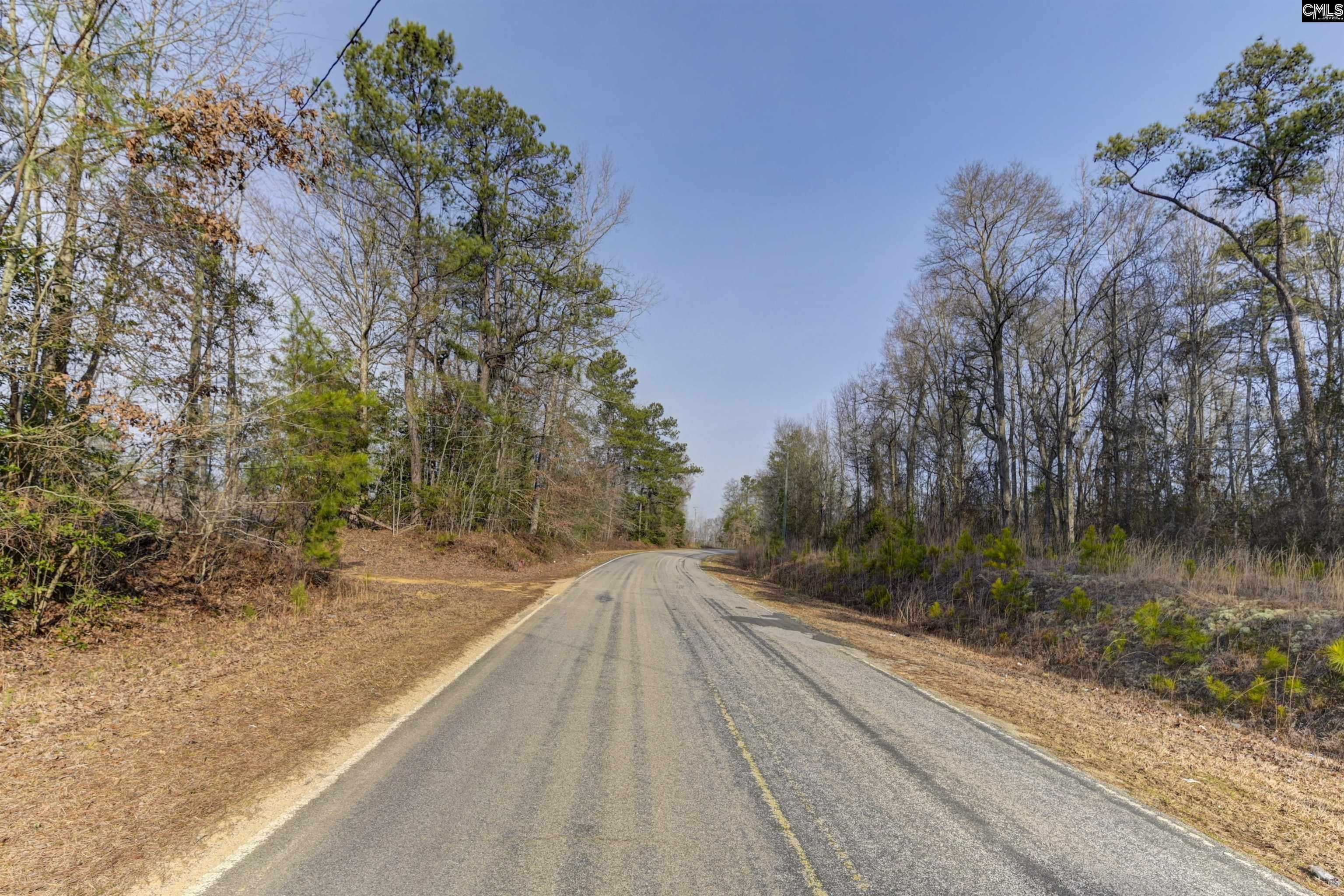 703 Neds Creek Road, Kershaw, South Carolina, 29067, United States, ,Land,For Sale,703 Neds Creek Road,1669372