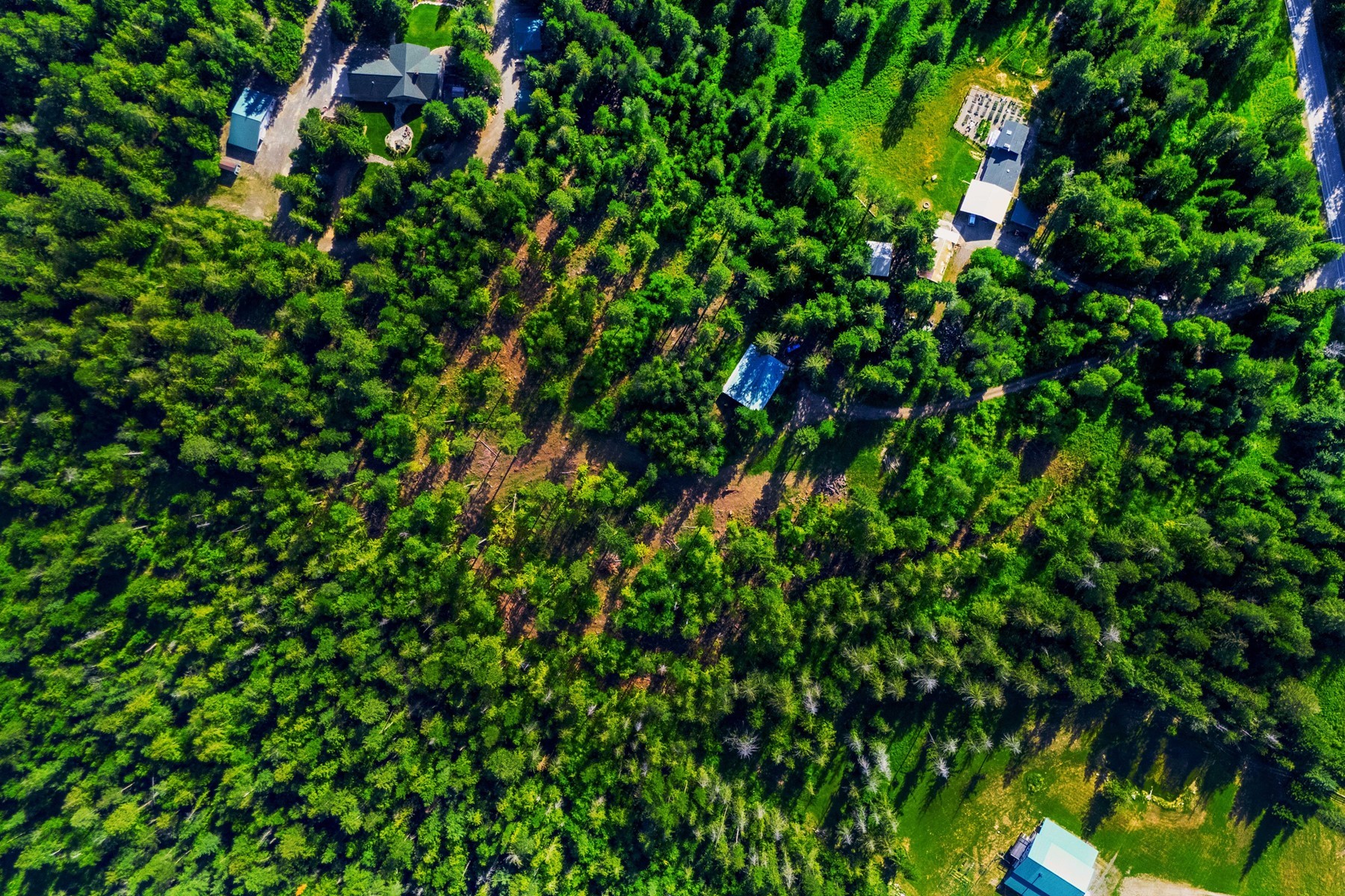  113 Tanager Lane - 物件實景