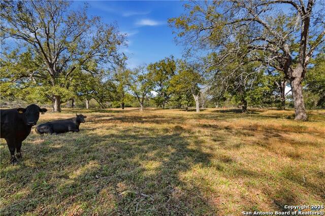 Kingsbury, Texas, 78638, United States, ,3 BathroomsBathrooms,Residential,For Sale,2005147