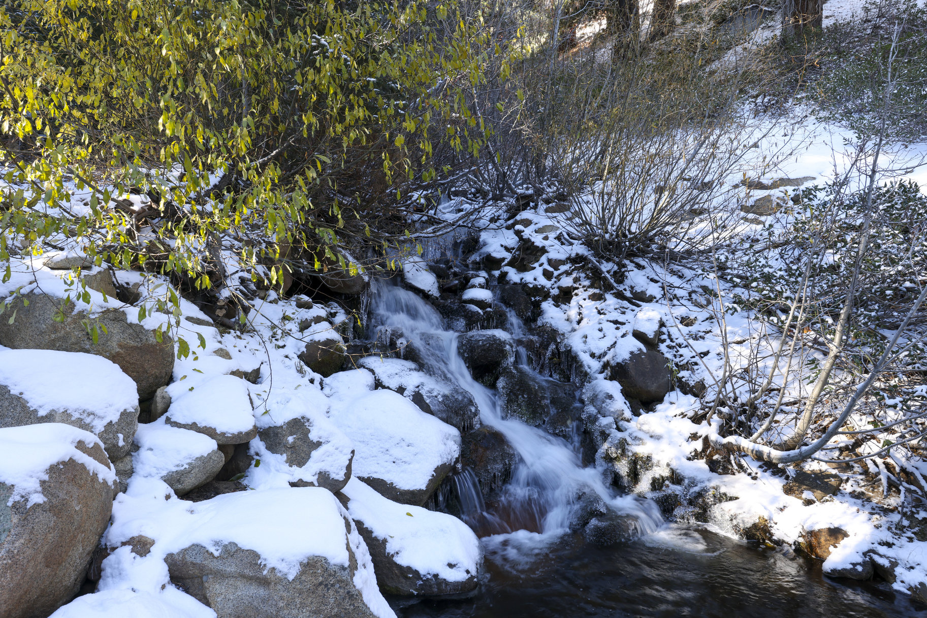  Sierra Sanctuary Lodge on 40 Acres - 物件實景