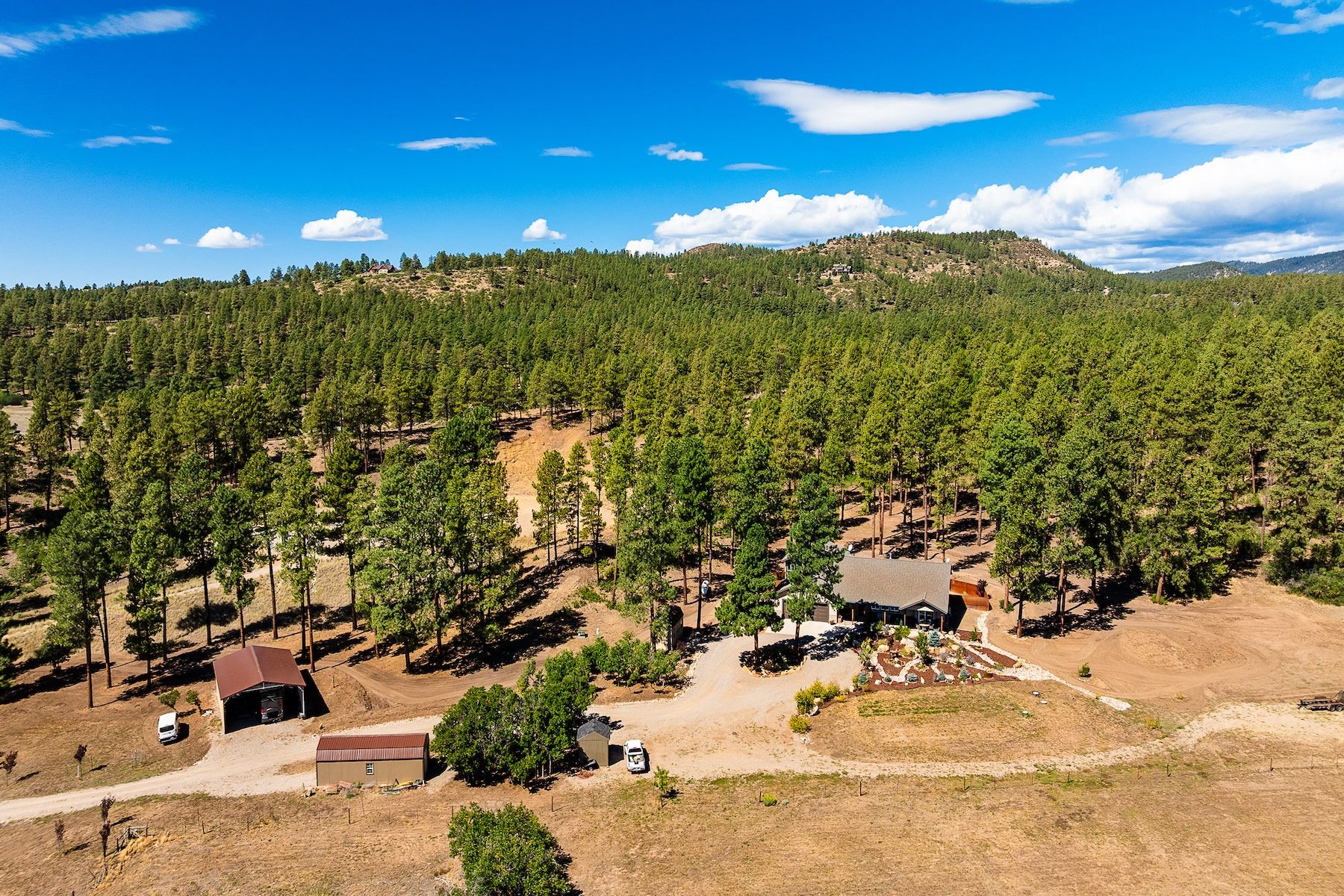  540 Bald Eagle Road, Bayfield, CO 81122 - 物件實景
