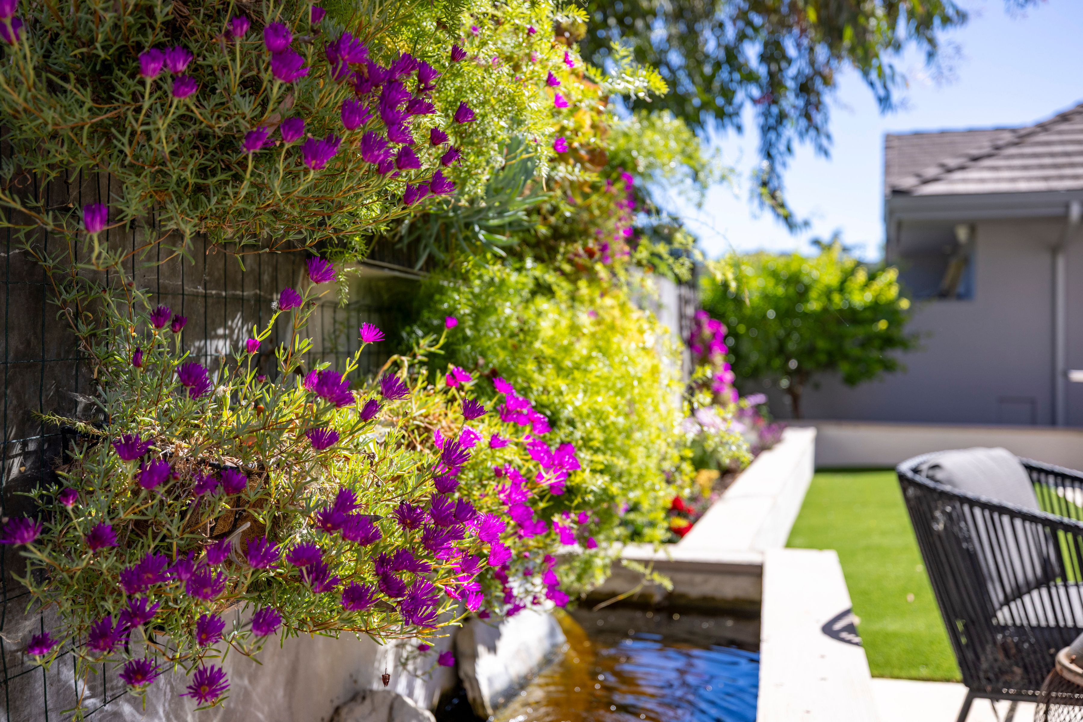  14390 Mountain Quail Rd, Salinas - 物件實景