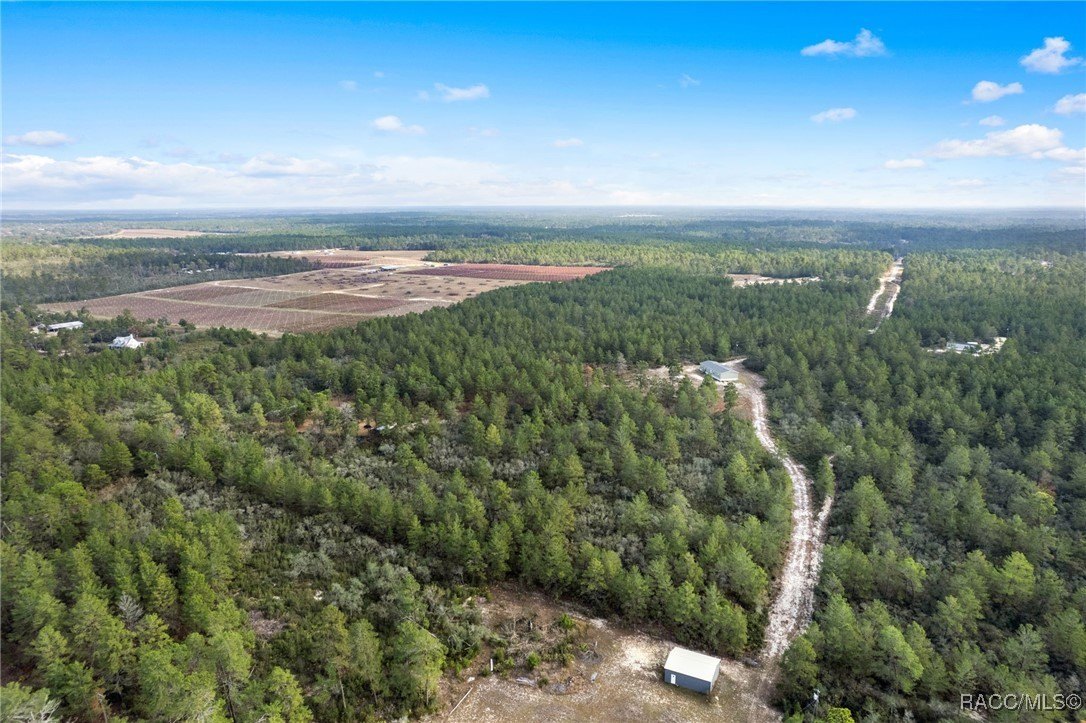 Dunnellon, Florida, 34433, United States, 4 Bedrooms Bedrooms, ,3 BathroomsBathrooms,Residential,For Sale,2008614