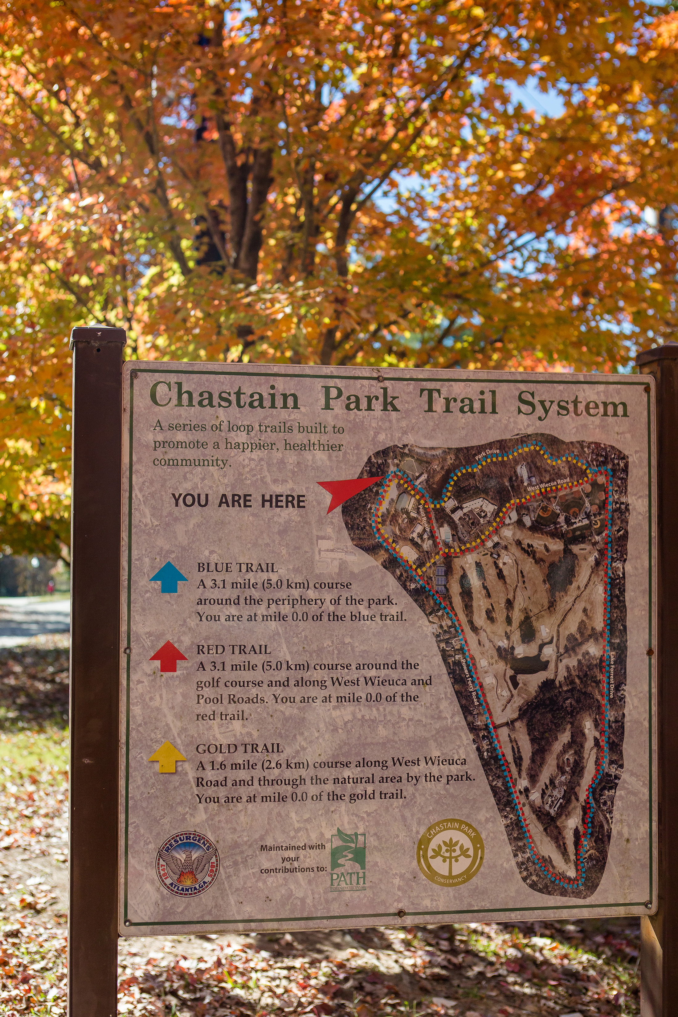  Private Estate for Multigenerational Living - Directly Across from Chastain Park - 物件實景