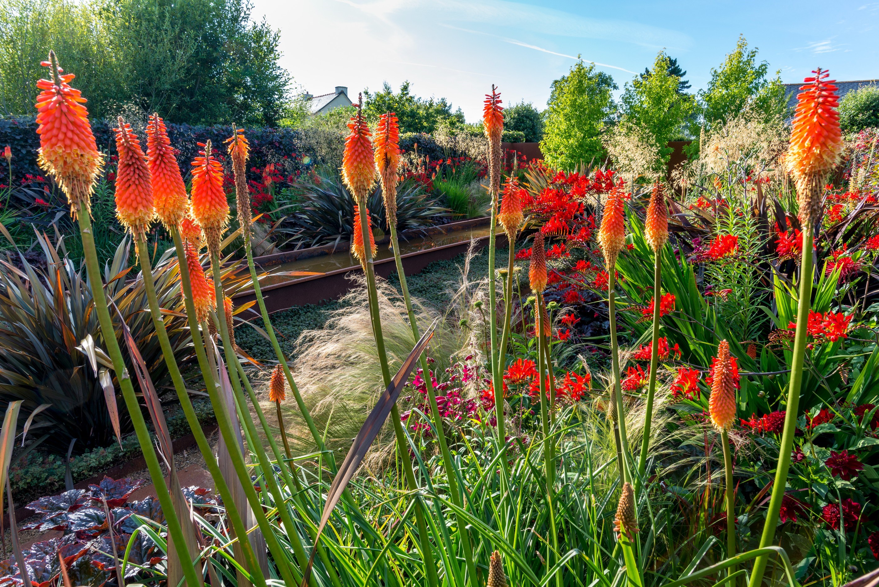  Amazing property with luxurious remarkable garden in the Tregor region - 物件實景