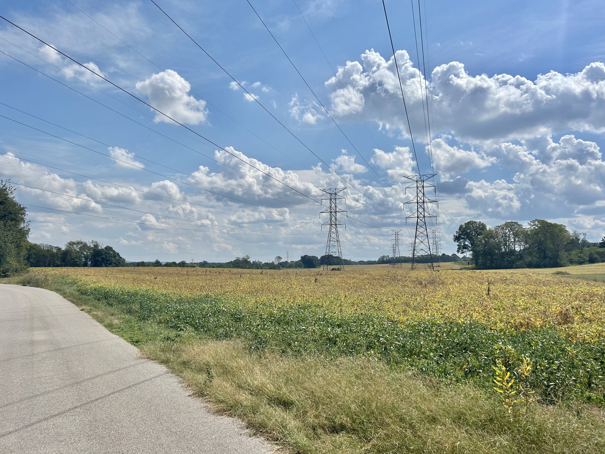 Decherd, Tennessee, 37324, United States, ,Land,For Sale,2016602