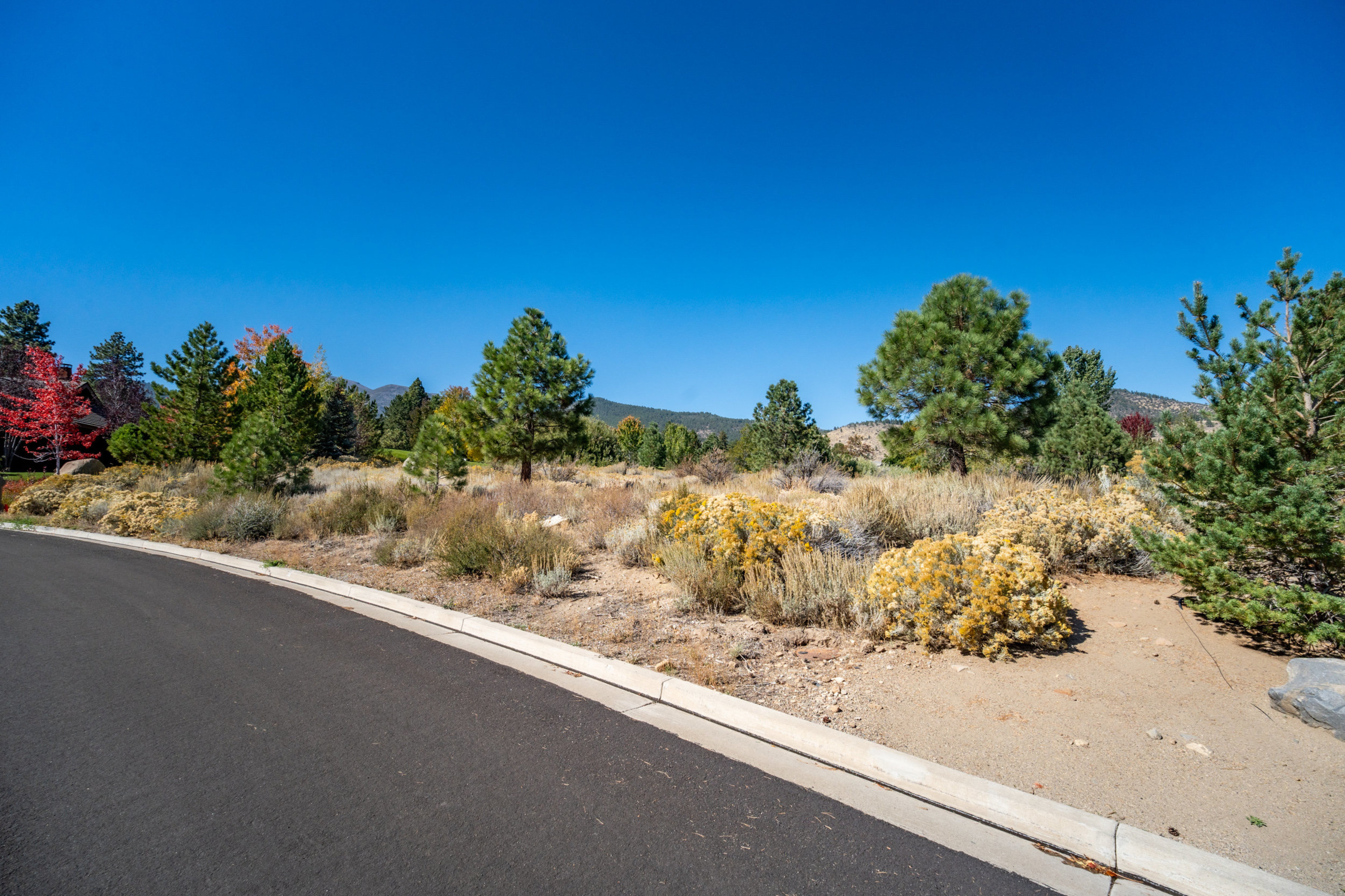  New to Market - 物件實景