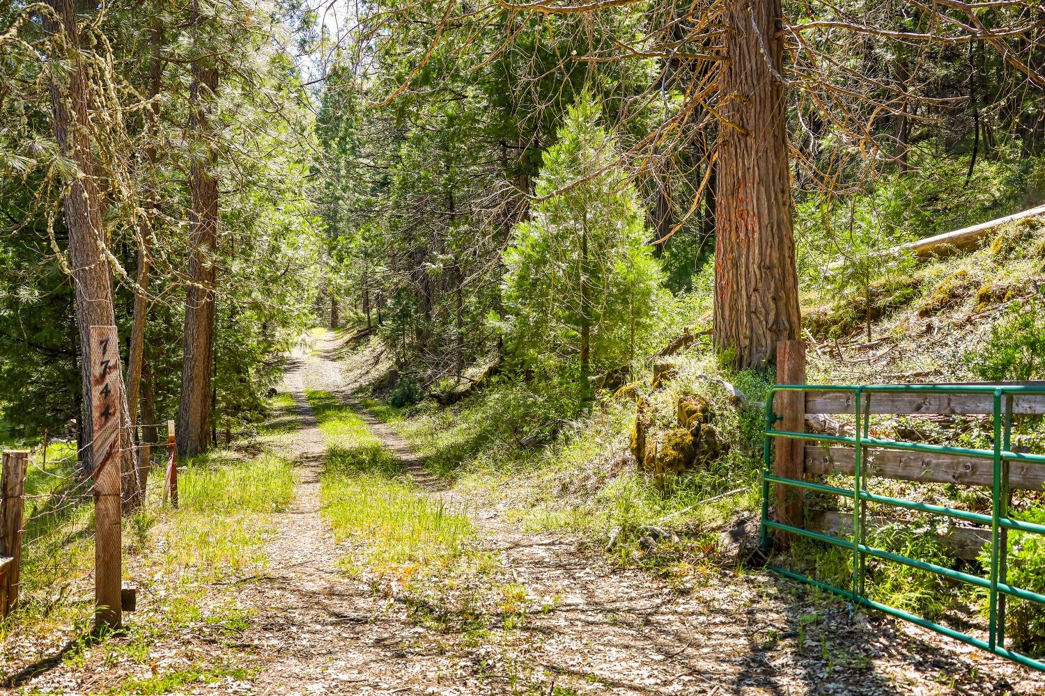 Mountain Ranch, California, 95246, United States, 1 Bedroom Bedrooms, ,1 BathroomBathrooms,Residential,For Sale,1982993