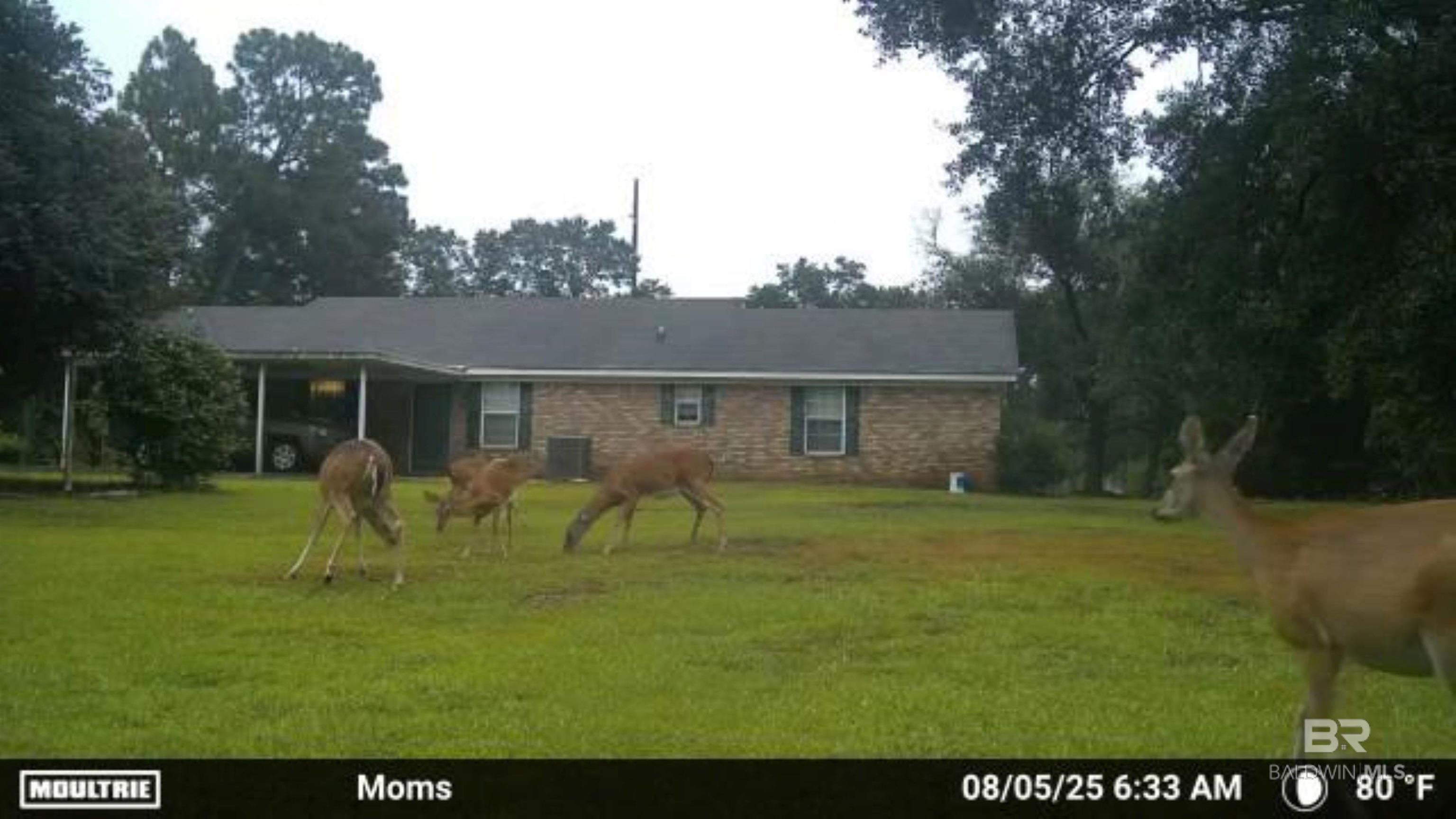 Foley, Alabama, 36535, United States, 3 Bedrooms Bedrooms, ,2 BathroomsBathrooms,Residential,For Sale,1890836