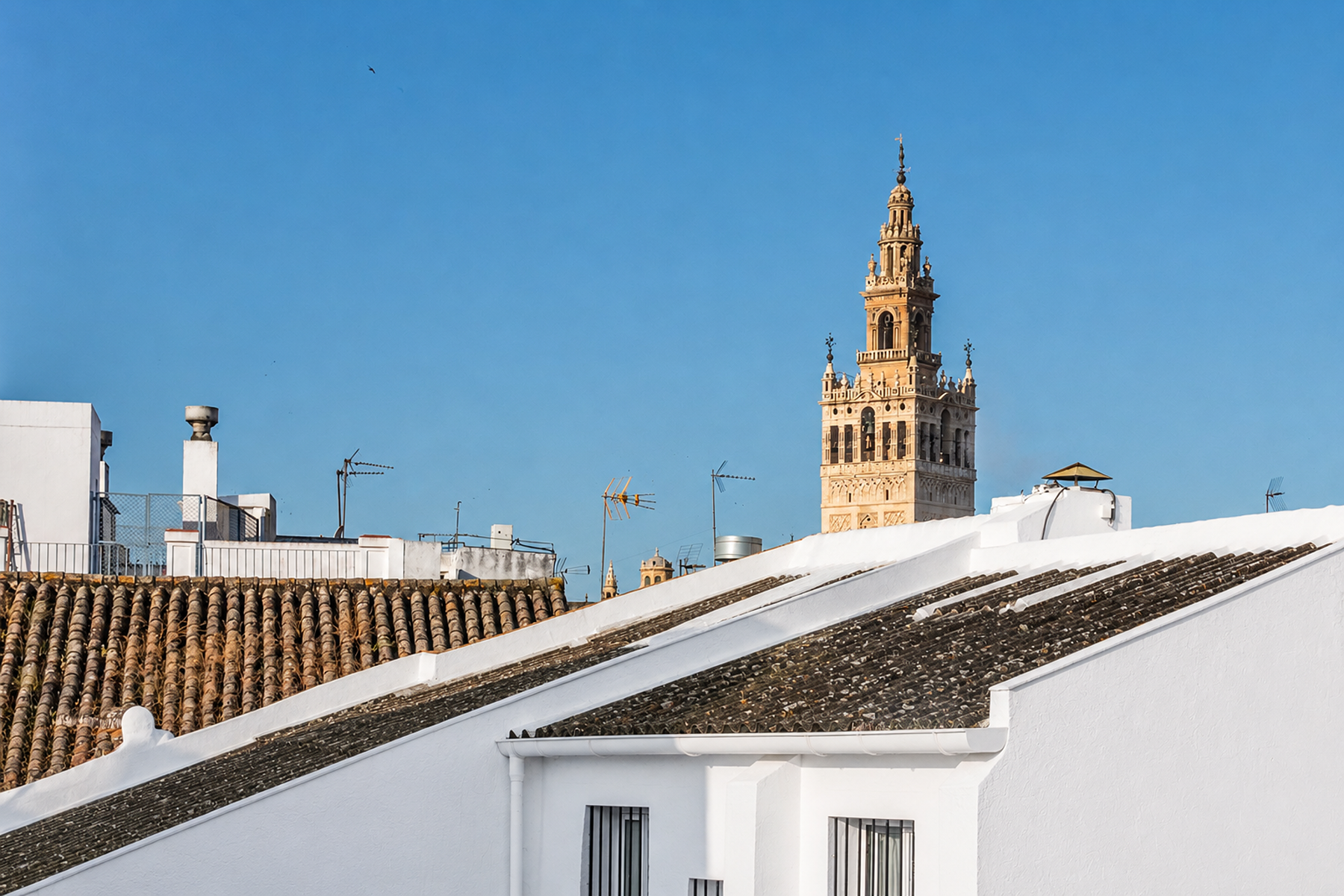  Five-bedroom home located in the historic center of Seville. - 物件實景