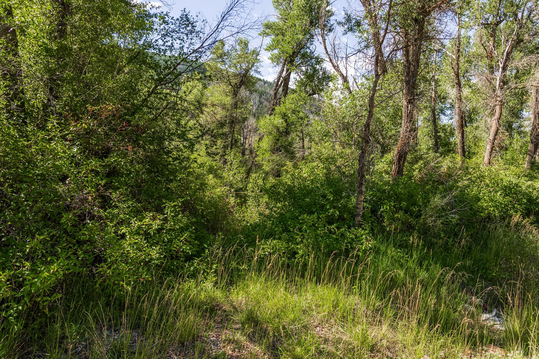  Rare Weber River Frontage Homesite - 物件實景