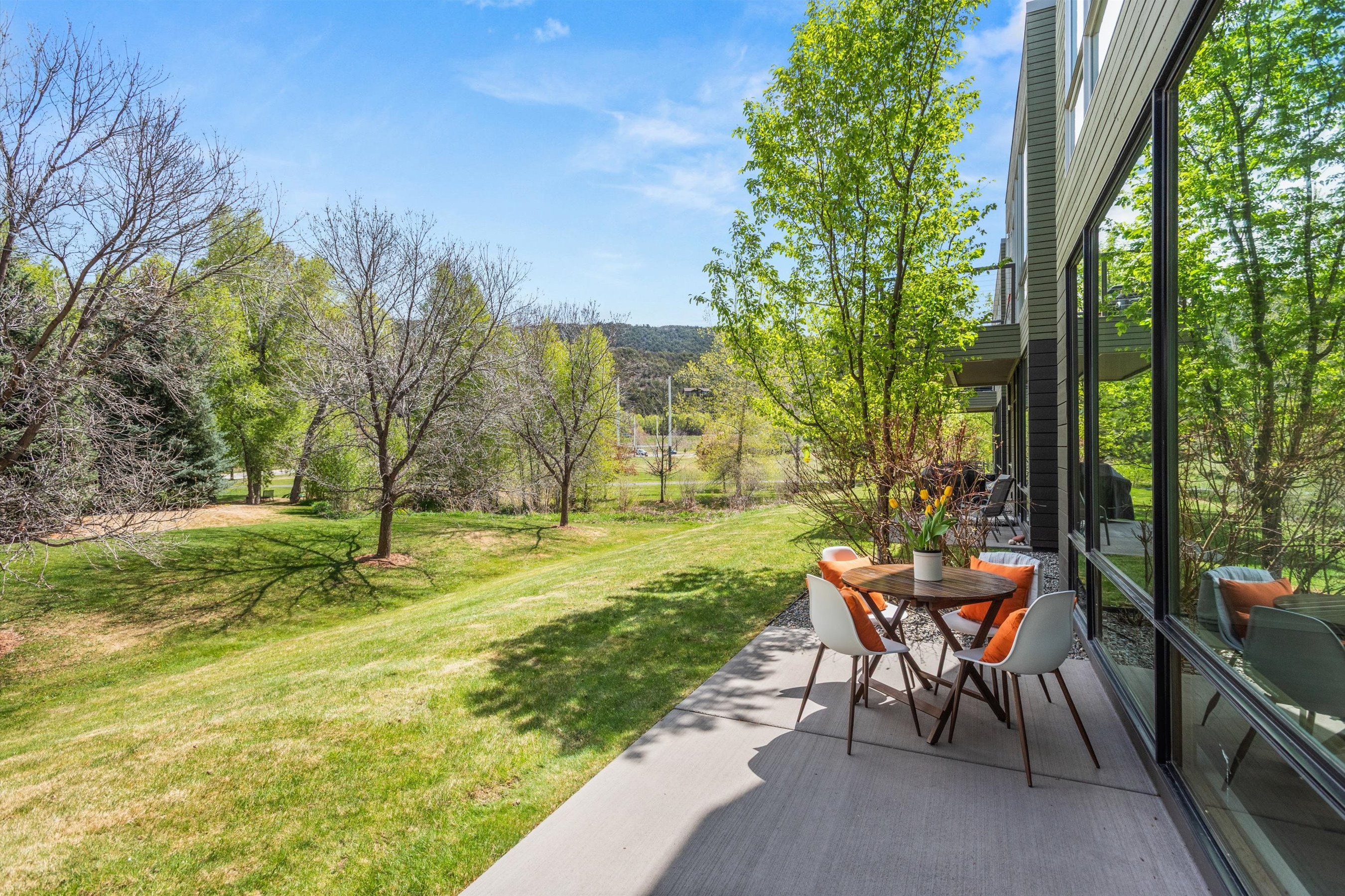  202 Evans Road, Basalt, CO, 81621 - 物件實景