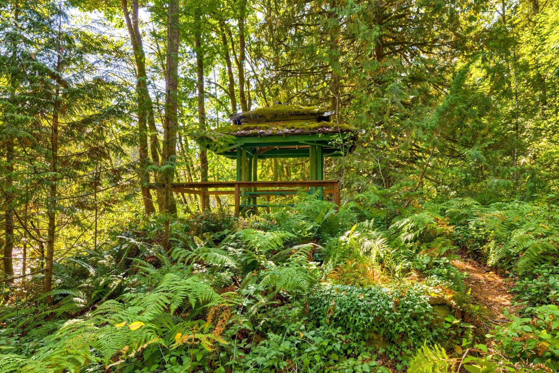  58200 E MARMOT RD Sandy, OR 97055 - 物件實景