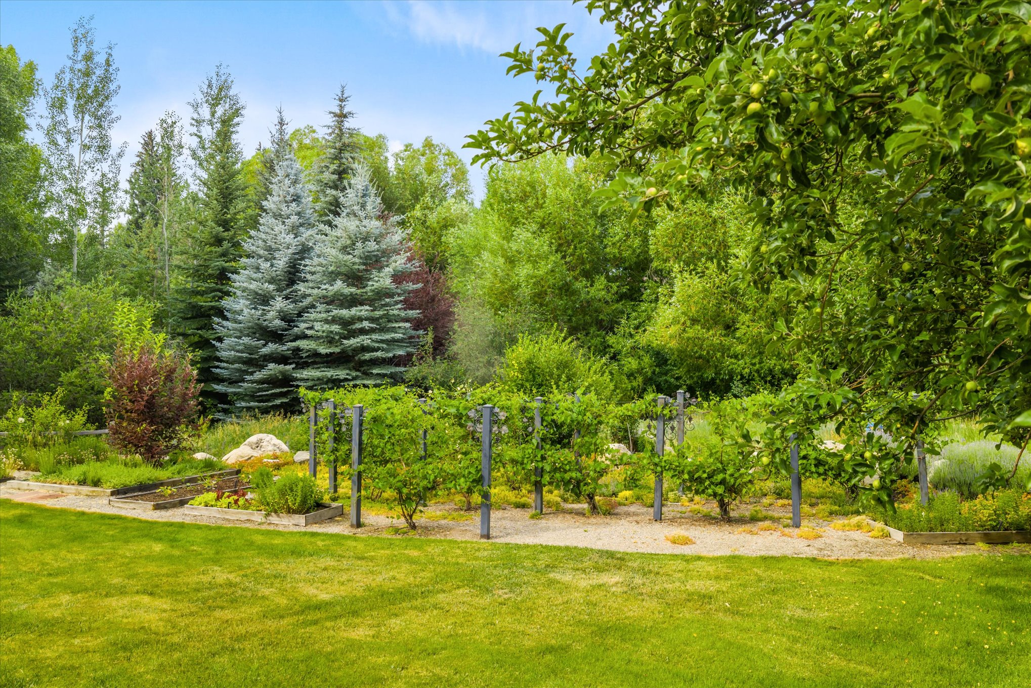  1184 Anglers Drive, Steamboat Springs, CO 80487 - 物件實景