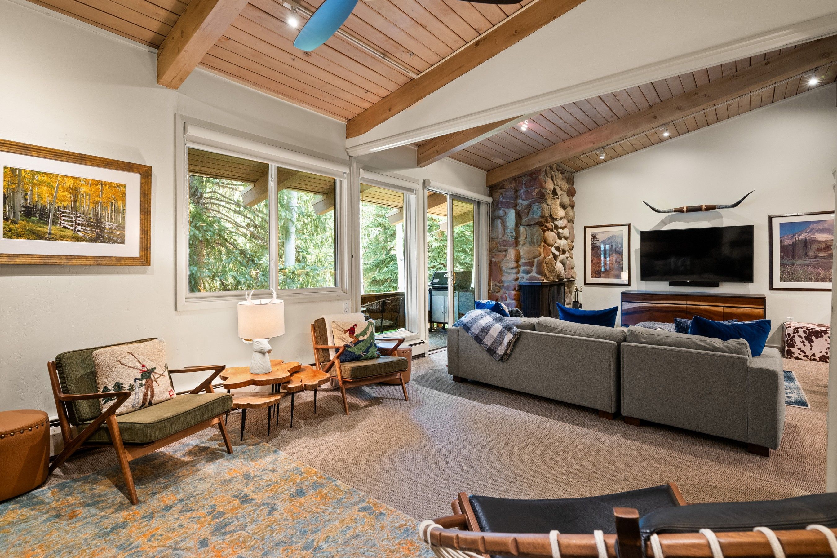  700 Ute Avenue, Aspen, CO, 81611 - 物件實景