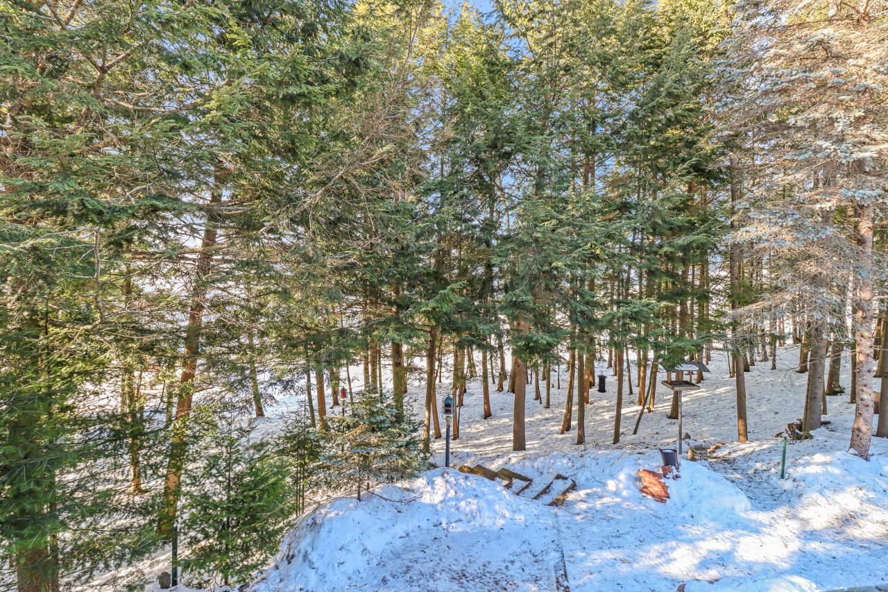 Land O Lakes, Wisconsin, 54540, United States, 3 Bedrooms Bedrooms, ,3 BathroomsBathrooms,Residential,For Sale,2005776