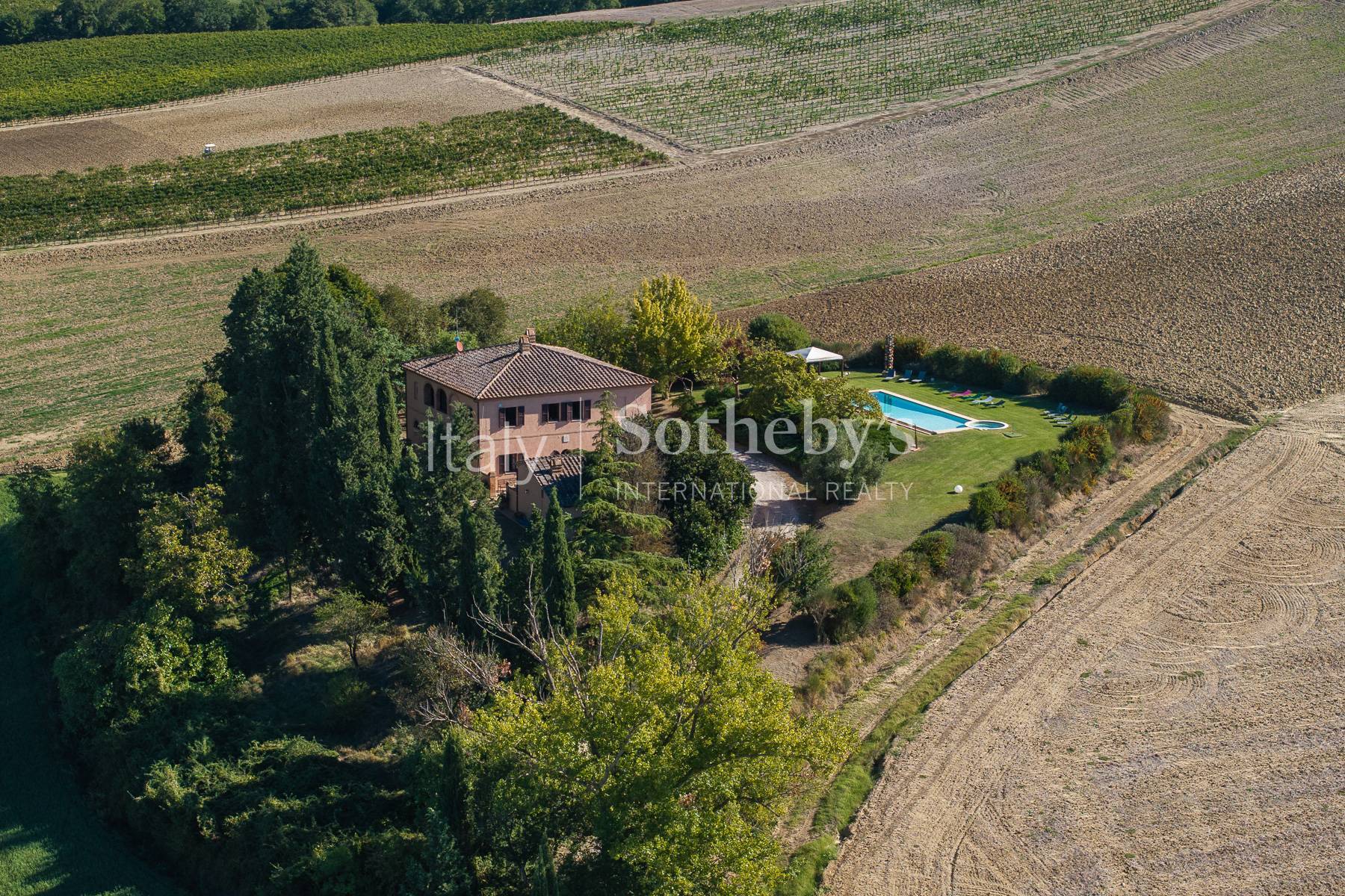  Villa with panoramic views a few km from Montalcino - 物件實景