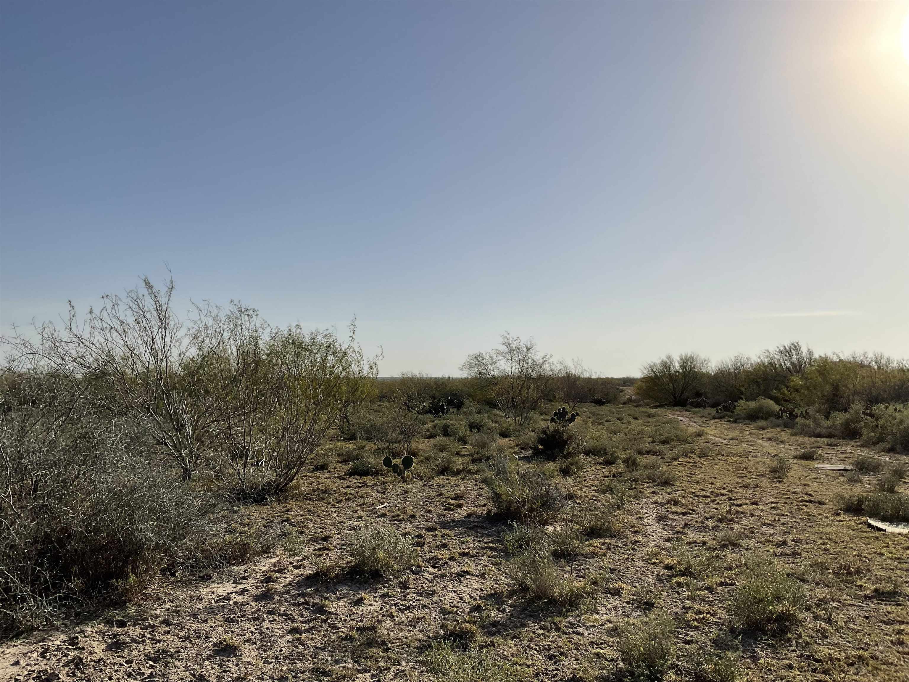 Laredo, Texas, 78046, United States, ,Land,For Sale,1877626