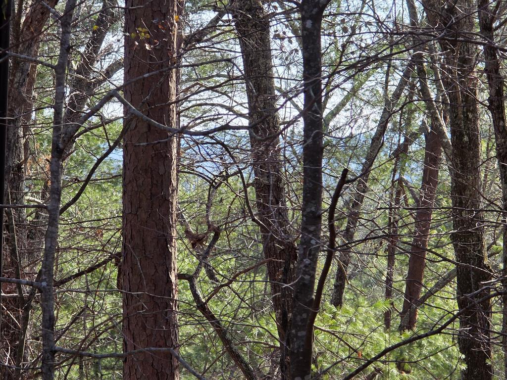 Reliance, Tennessee, 37369, United States, 3 Bedrooms Bedrooms, ,2 BathroomsBathrooms,Residential,For Sale,1985827