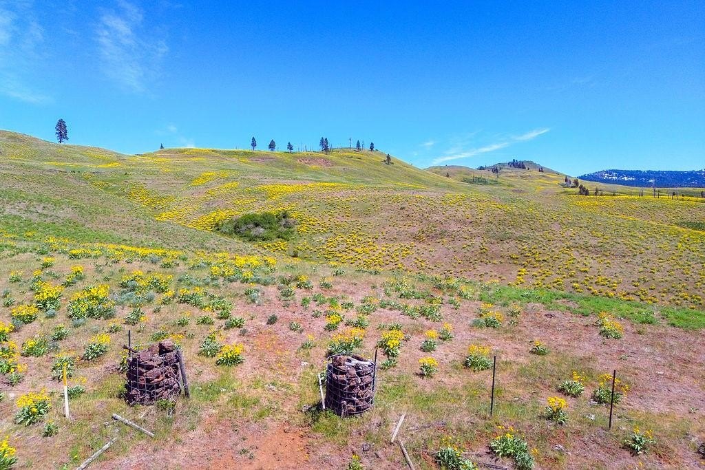 Council, Idaho, 83612, United States, ,Residential,For Sale,1935833