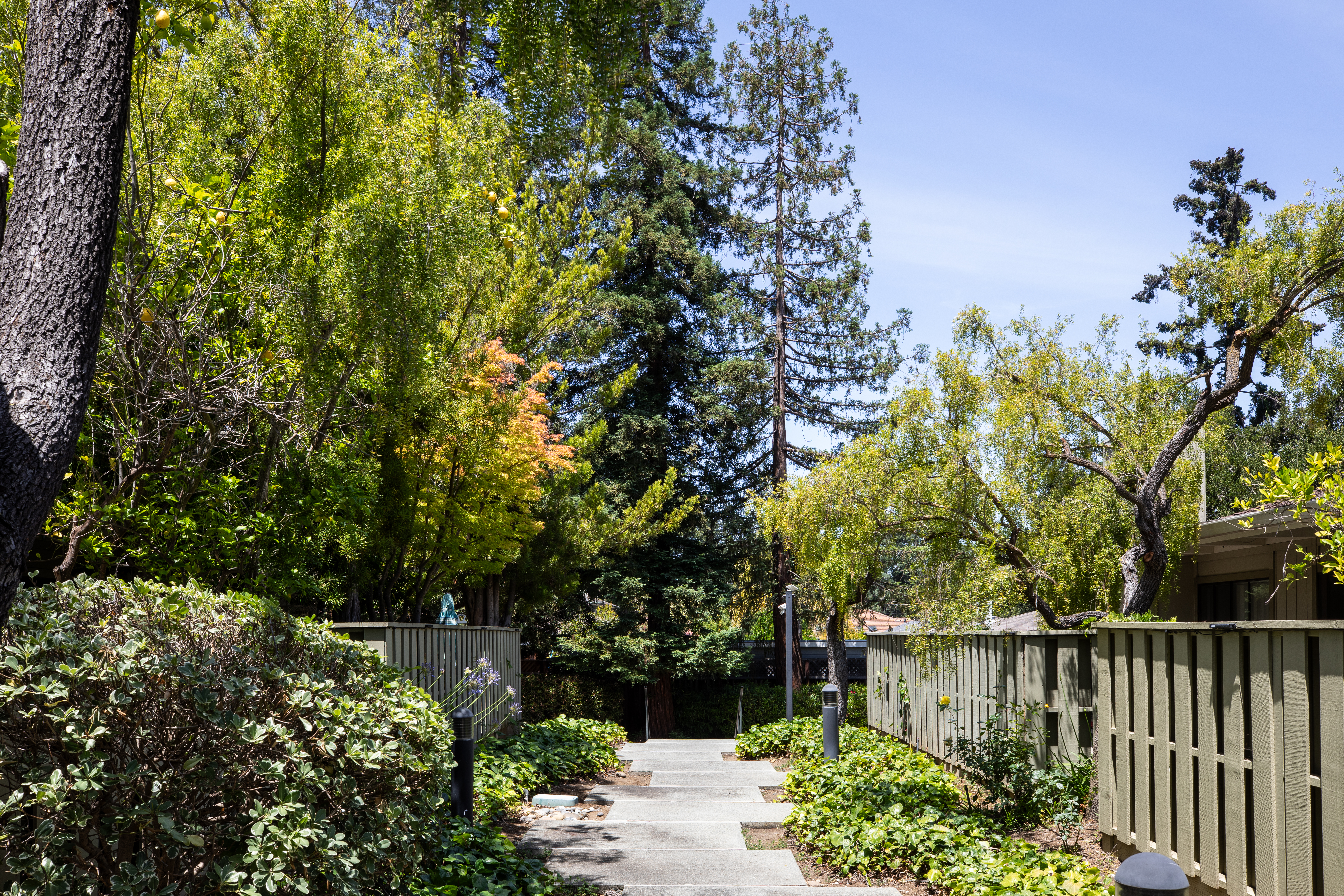  Updated Condo In Prime Los Altos Cul de Sac Location - 物件實景