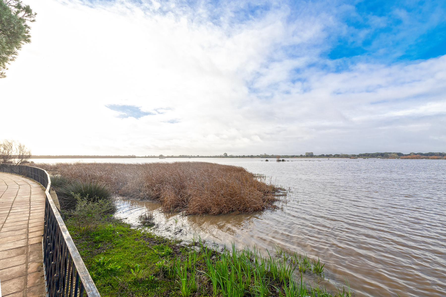  Refurbished Andalusian house with terraces and views of Doñana in El Rocío - 物件實景