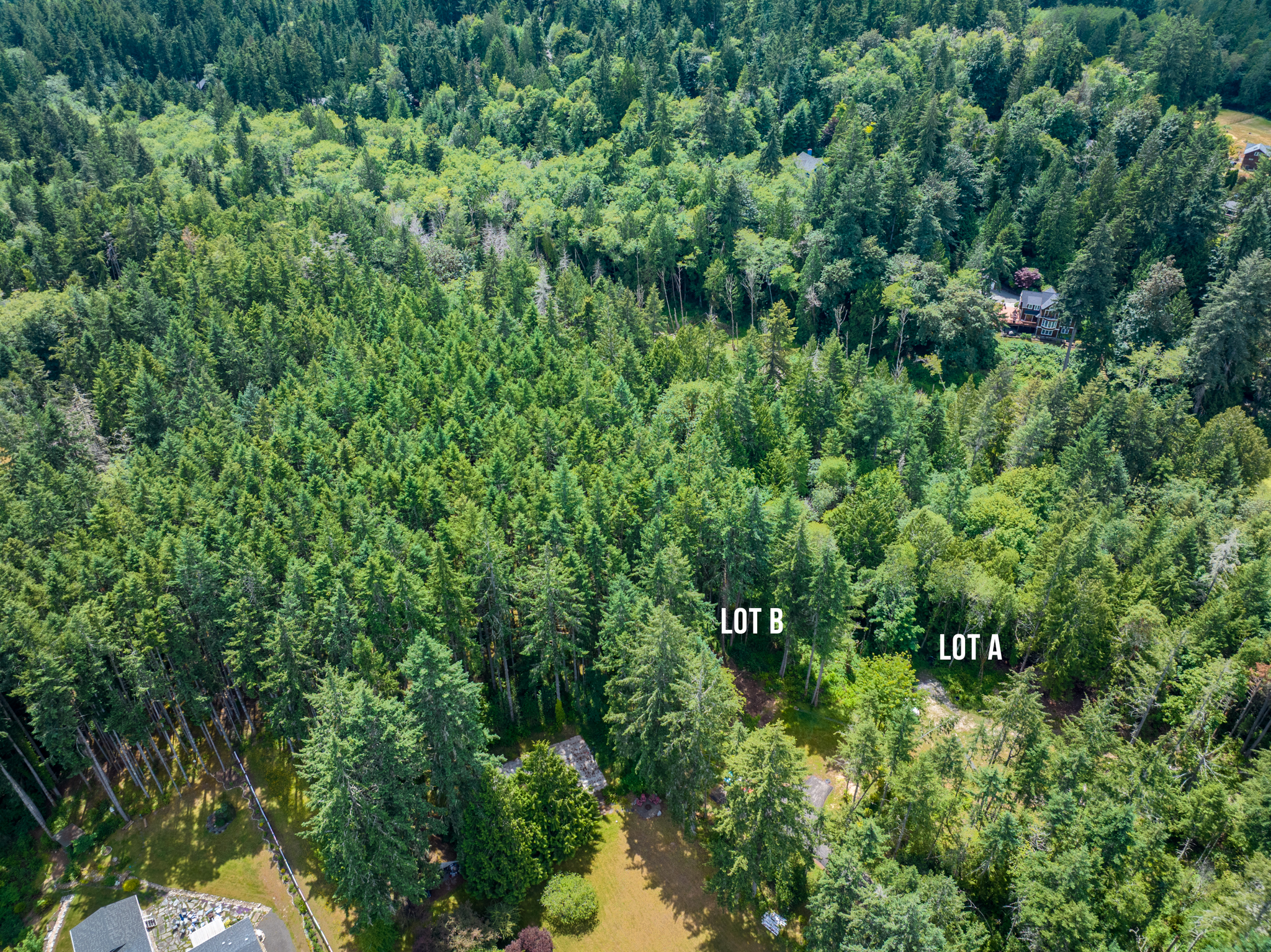  Lot B Bucsit Lane Northeast, Bainbridge Island, WA 98110 - 物件實景