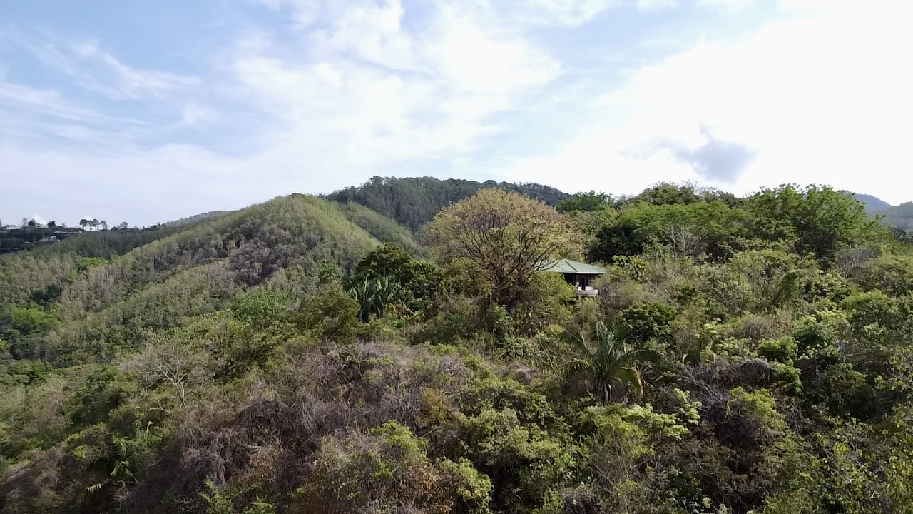Samara, Guanacaste, CR, ,Land,For Sale,1838458