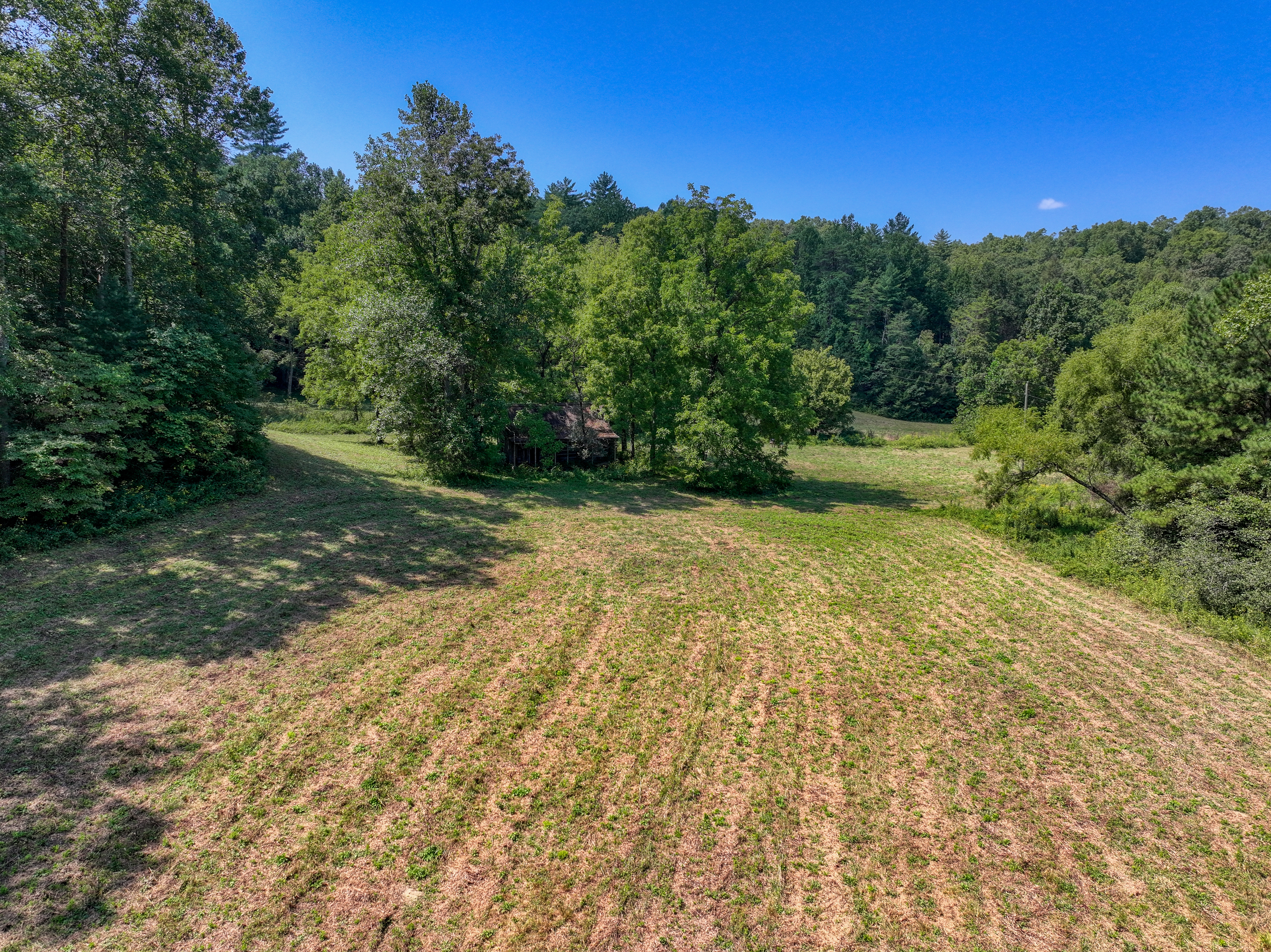  Belcher Loop, Tellico Plains, TN 37385 - 物件實景