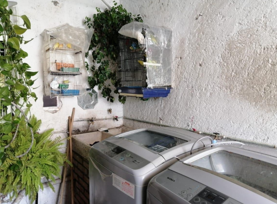 Álvaro Obregón, Ciudad de México, 01759, Mexico, 6 Bedrooms Bedrooms, ,4 BathroomsBathrooms,Residential,For Sale,1723771