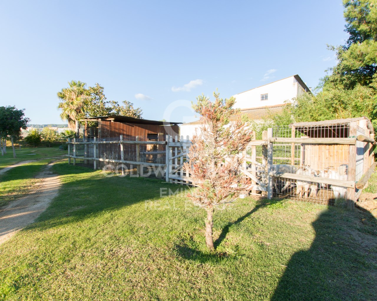 Mataró, Catalonia, ES, 6 Bedrooms Bedrooms, ,5 BathroomsBathrooms,Residential,For Sale,2000993