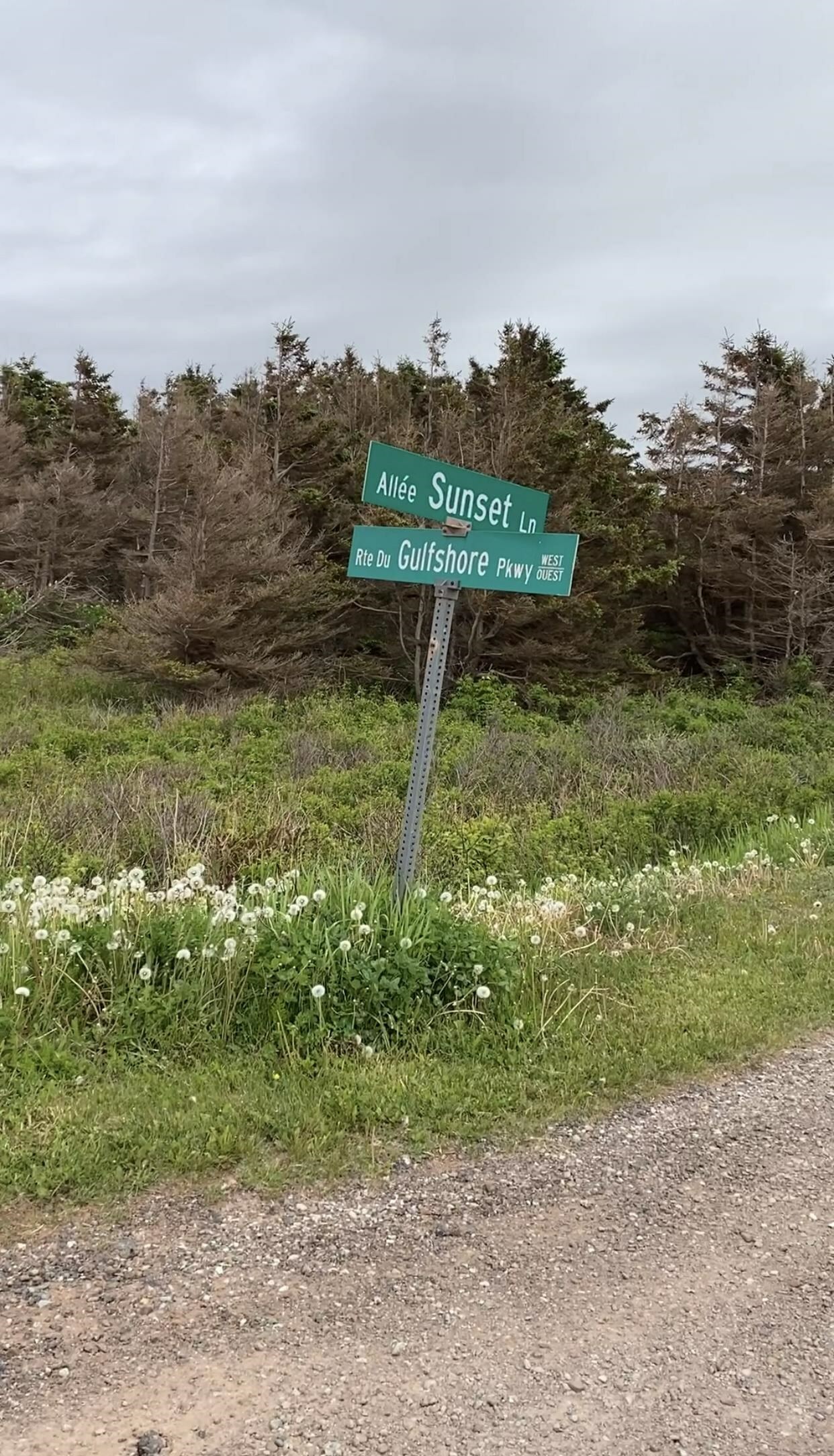 CAVENDISH, Prince Edward Island, C0A 1N0, CA, 2 Bedrooms Bedrooms, ,2 BathroomsBathrooms,Residential,For Sale,1874335